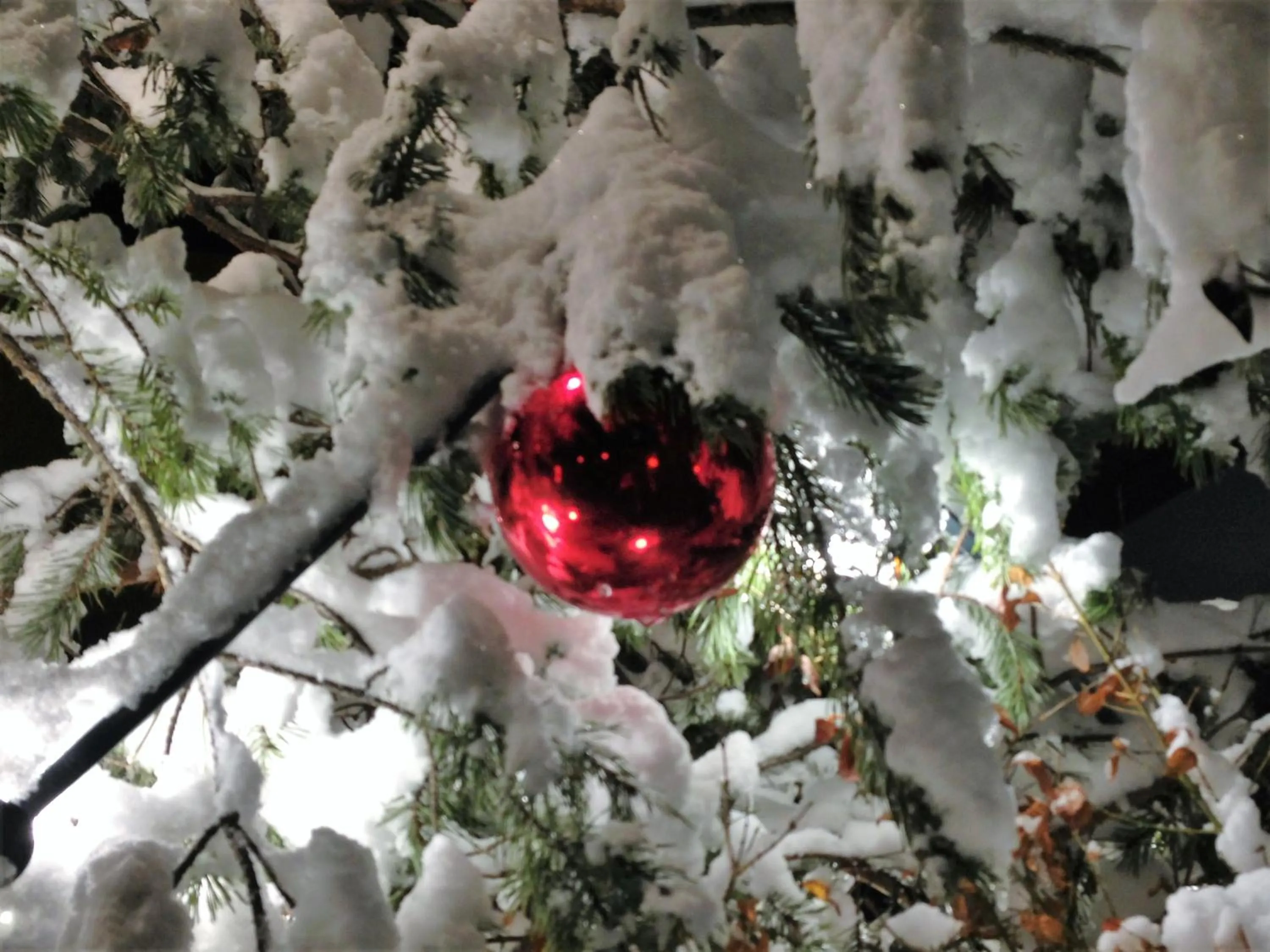 Winter in Pogöriacherhof