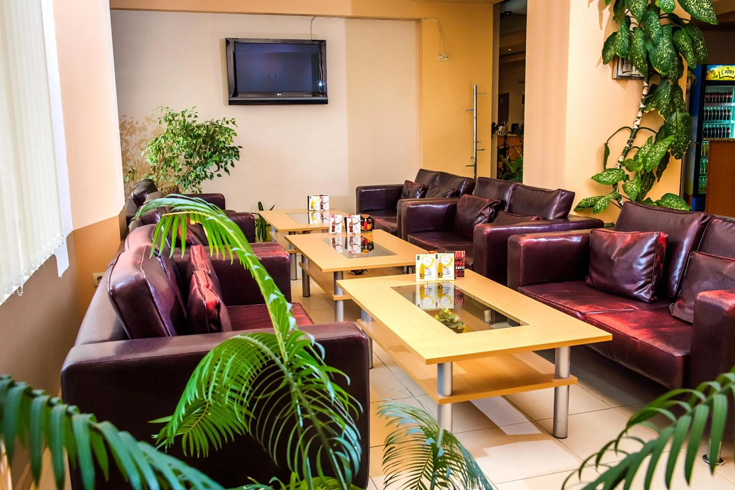 Lounge or bar in Hotel Intelcoop