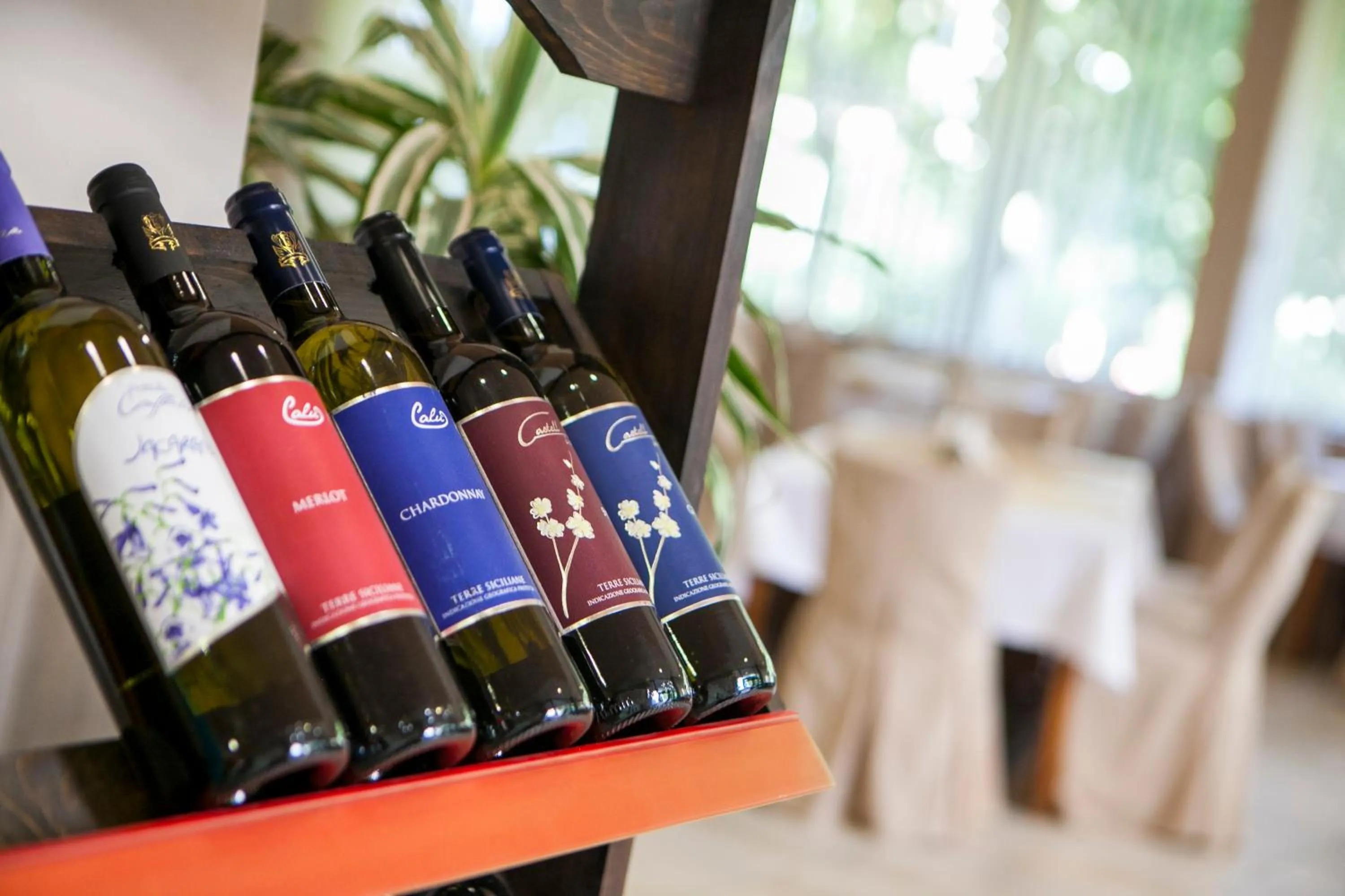 Drinks in Hotel Intelcoop