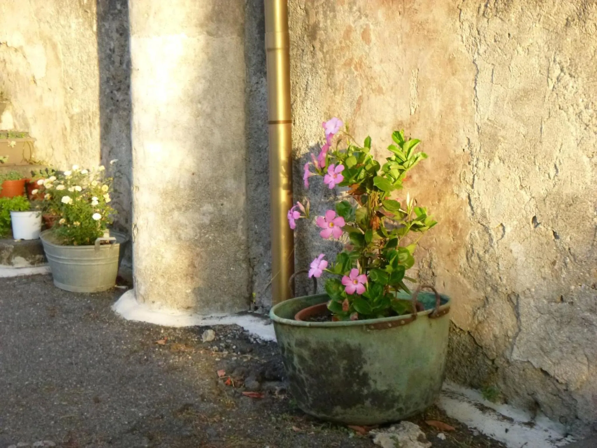 Garden in Baglio Delle Rose