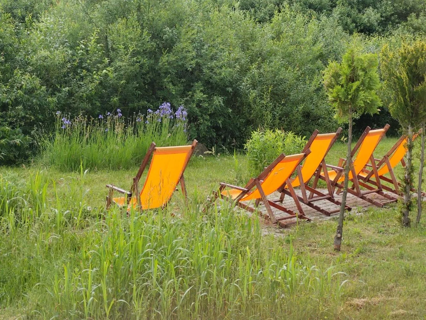 Garden view in Mazurska Chata jezioro i aquapark 6 min, centrum i promenada 12 min