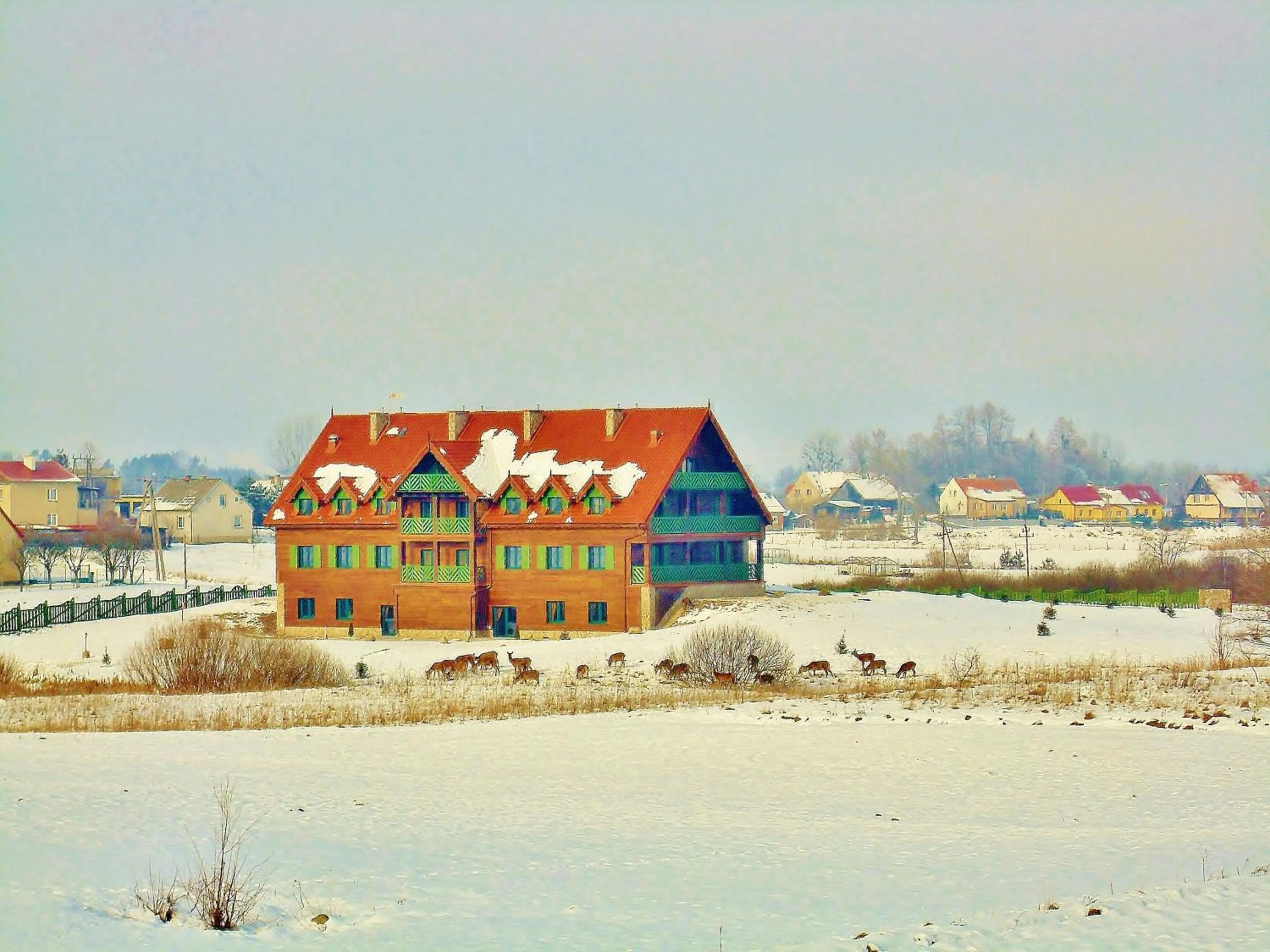 Animals in Mazurska Chata jezioro i aquapark 6 min, centrum i promenada 12 min
