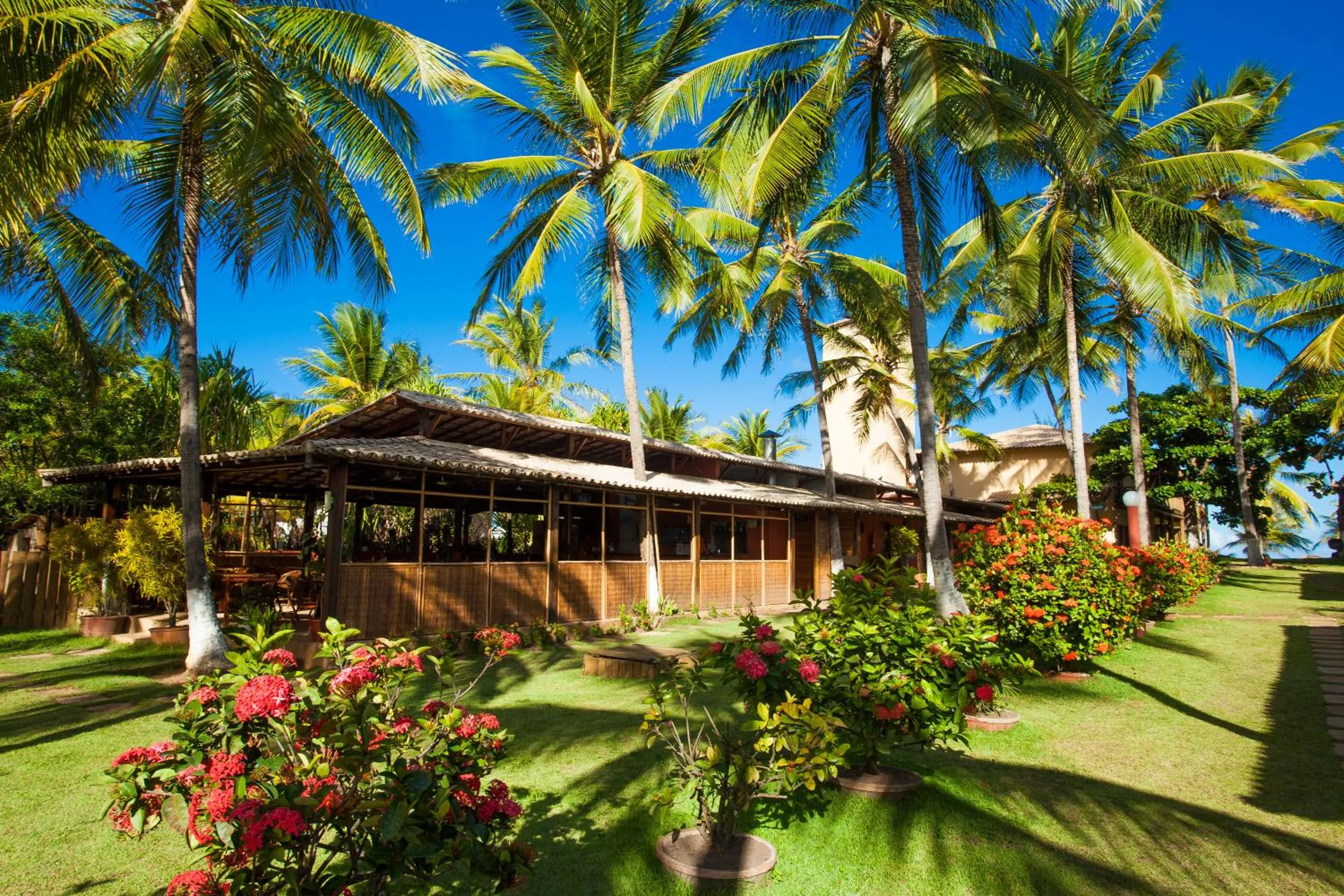 Garden in Pousada Praia das Ondas - Pé na areia