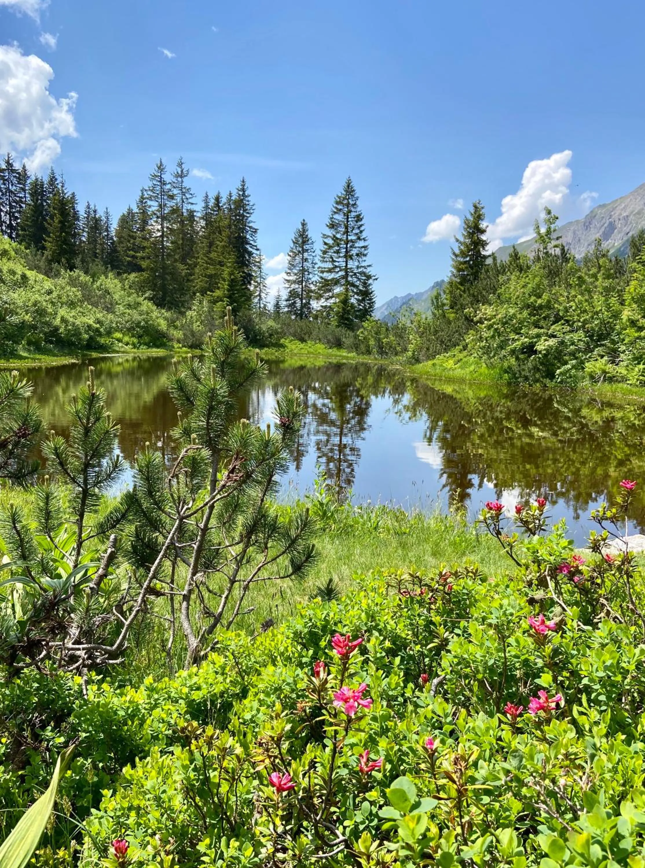 Natural landscape in Das Johann