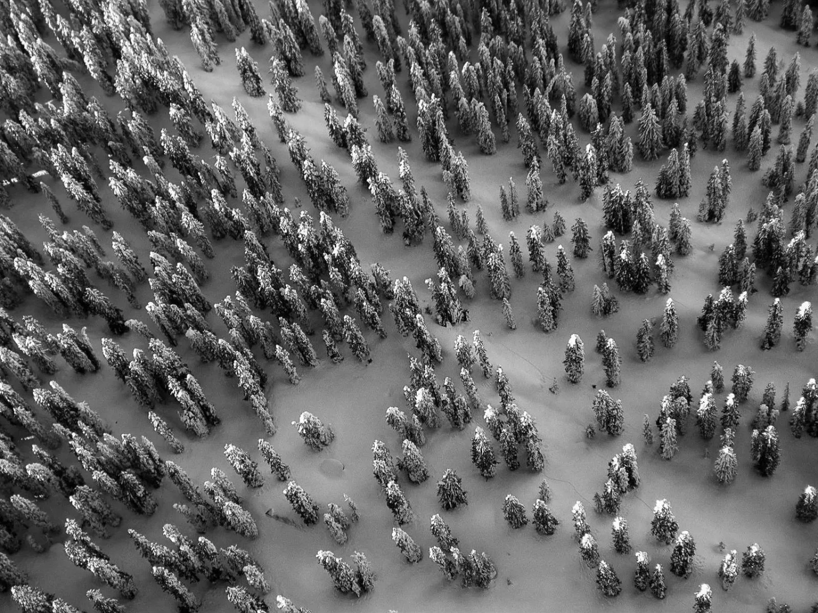 Natural landscape in Das Johann