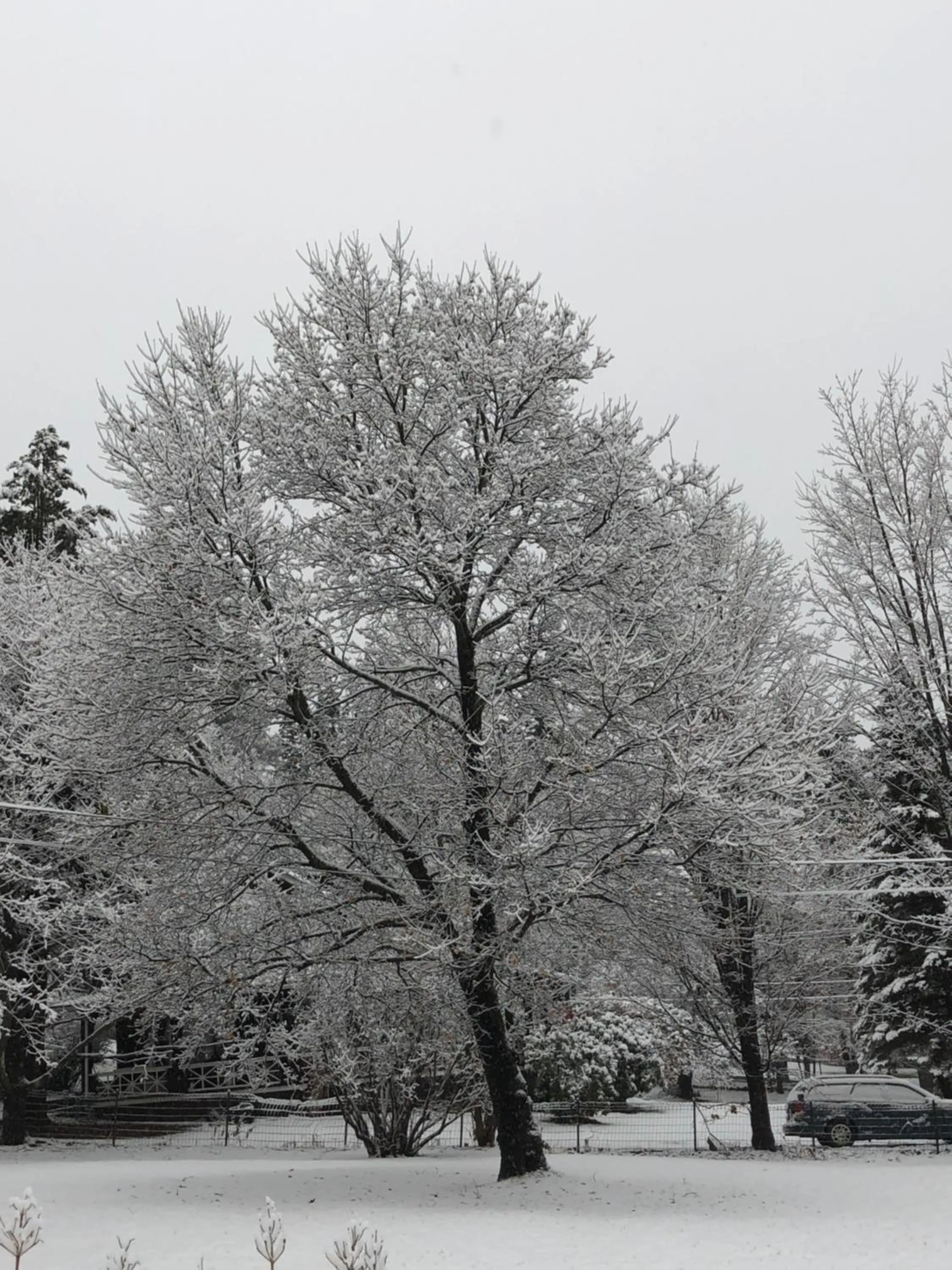 View (from property/room) in Antique Rose Inn Windham