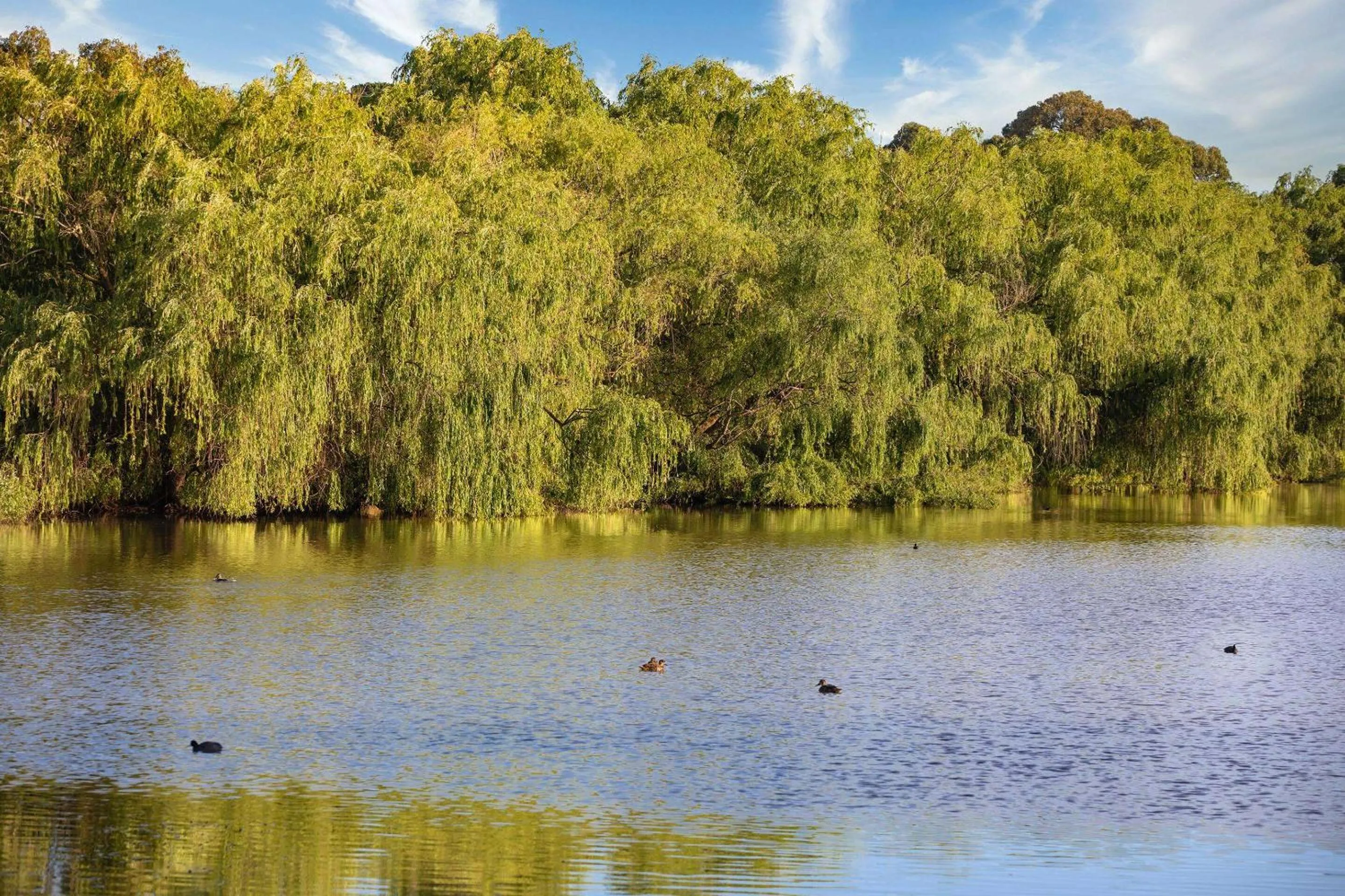 Property building in Club Wyndham Ballarat, Trademark Collection by Wyndham