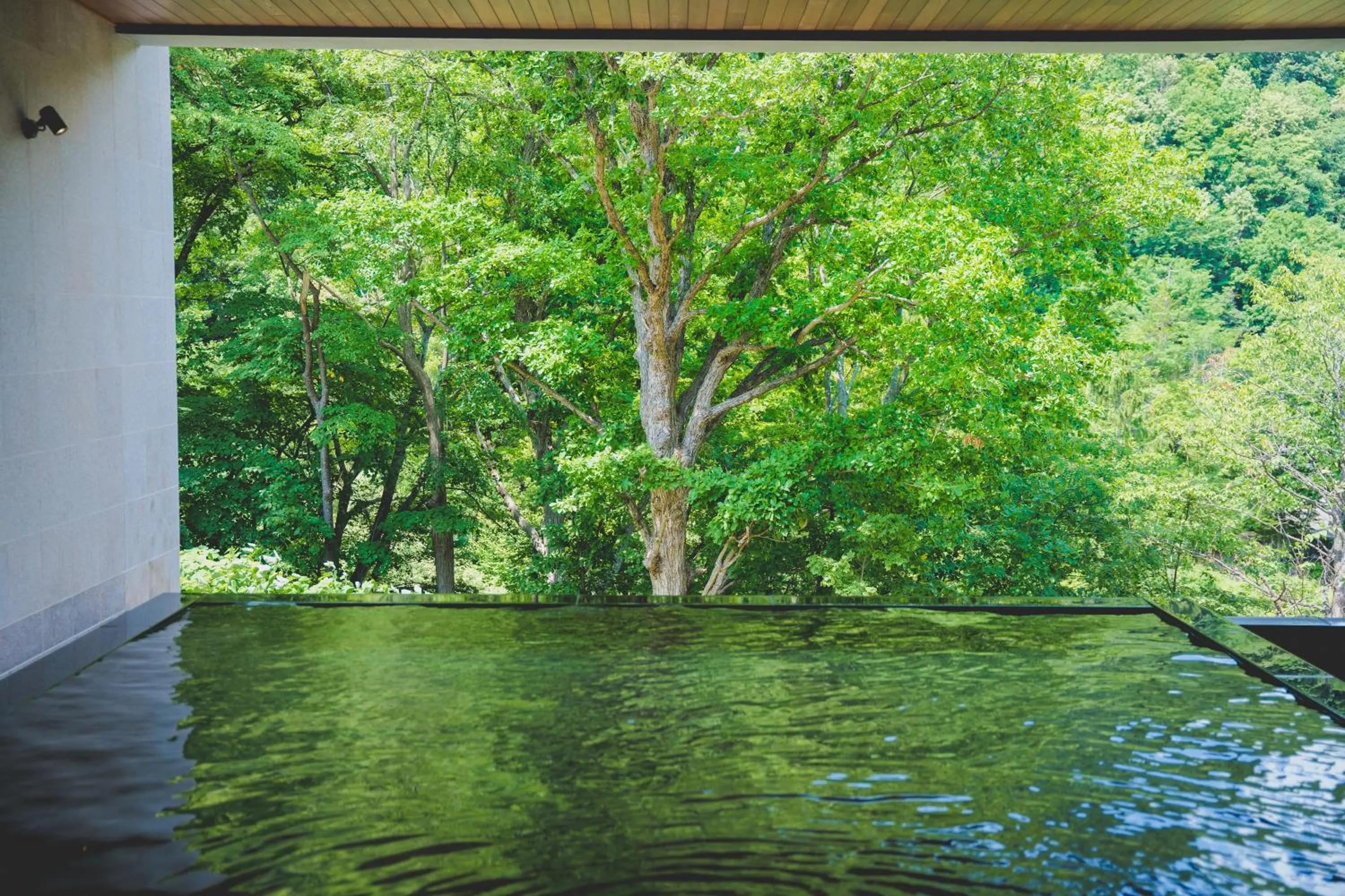 Natural landscape in Grand Blissen Hotel Jozankei