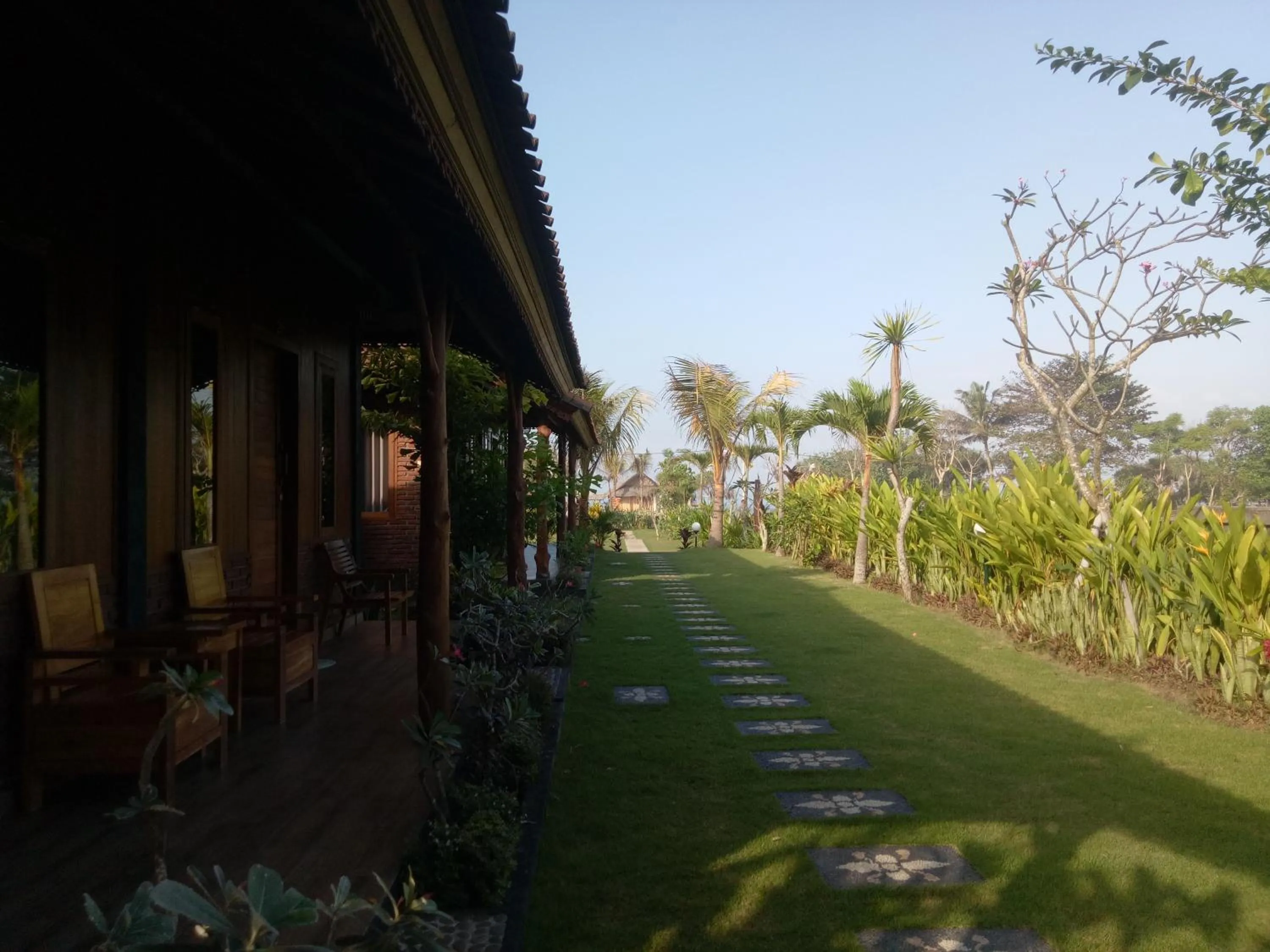 Garden in Emir Surfcamp