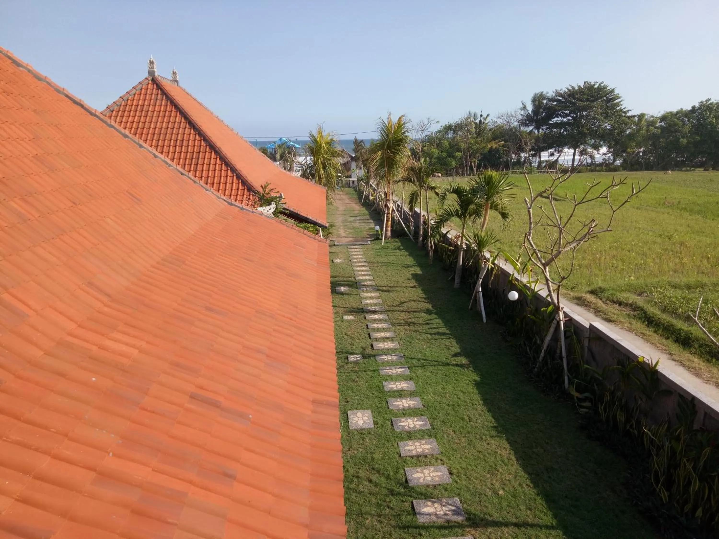 Neighbourhood in Emir Surfcamp