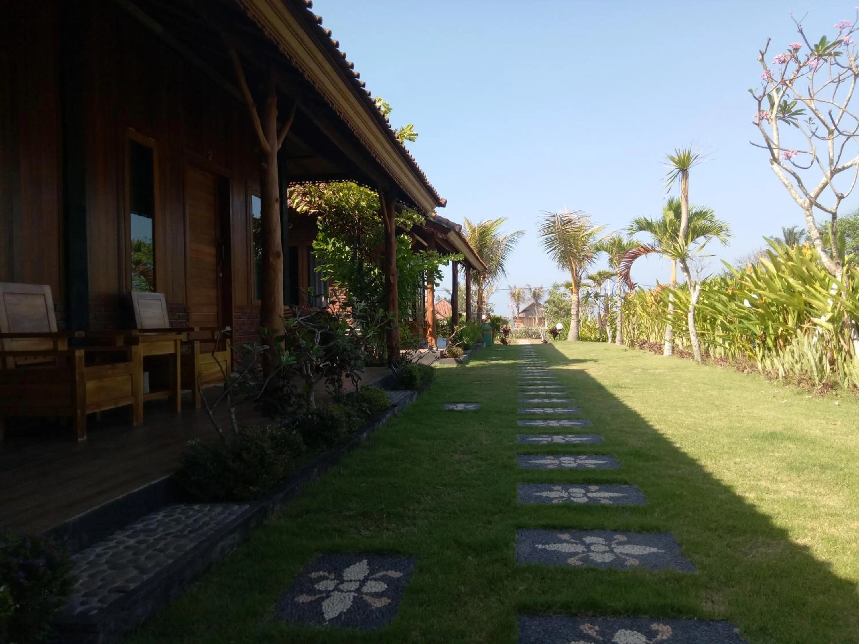 Garden in Emir Surfcamp