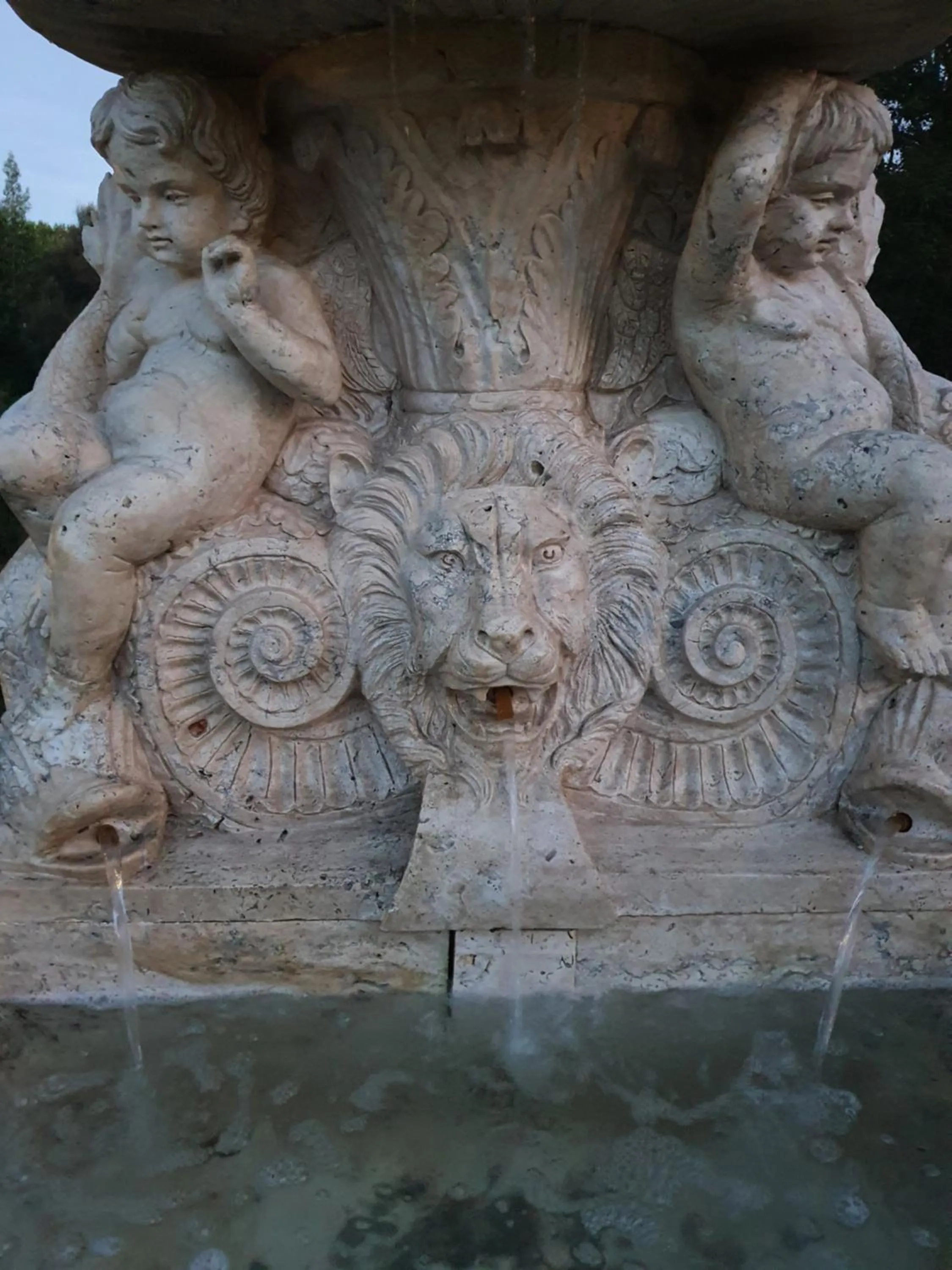 Garden in Hawley House