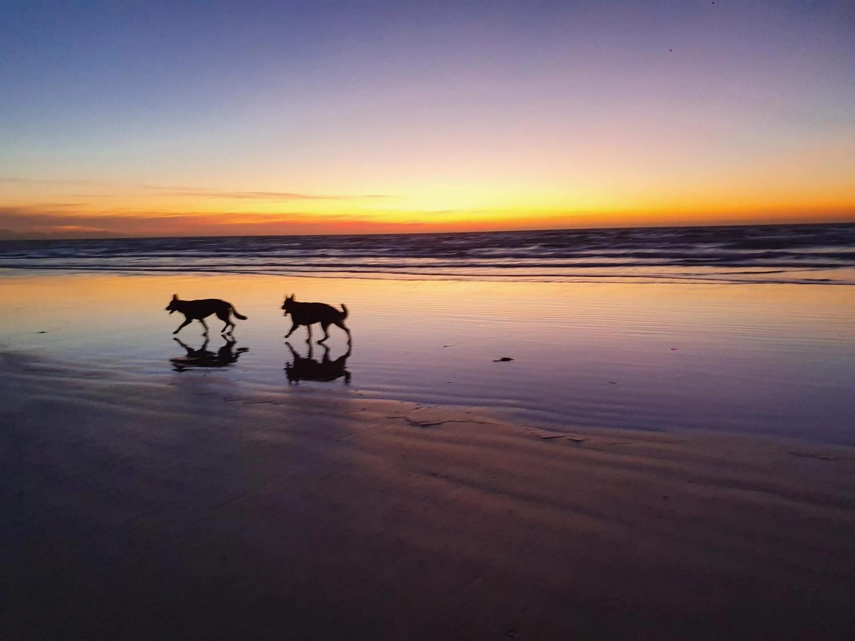 Beach in Hawley House