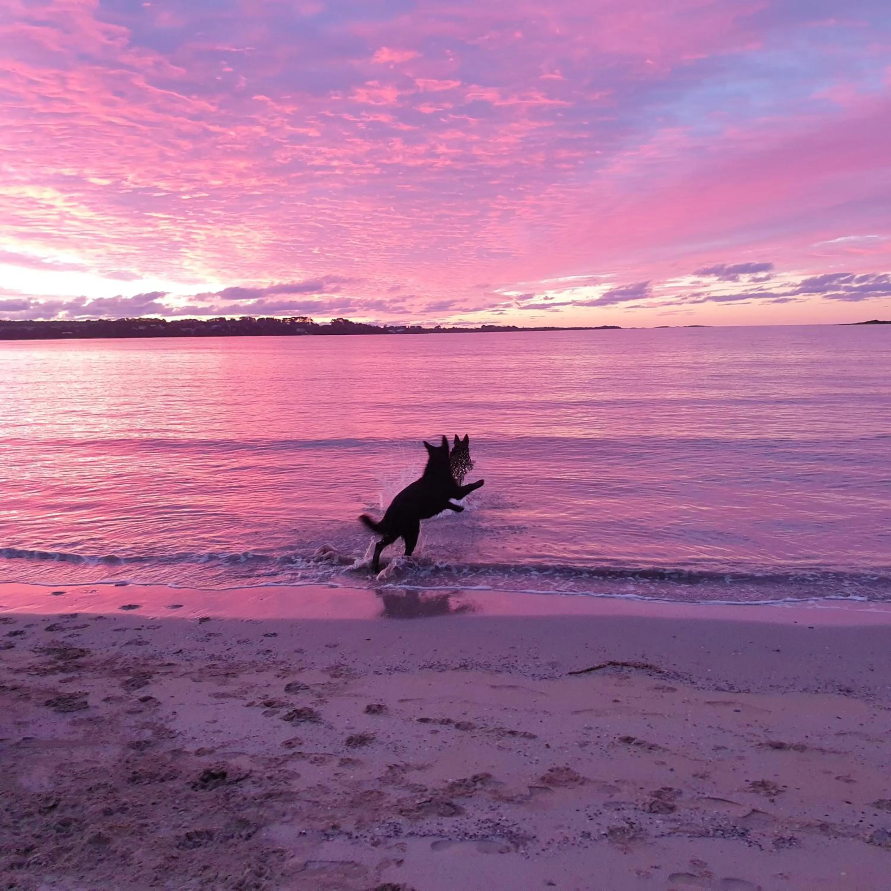 Beach in Hawley House