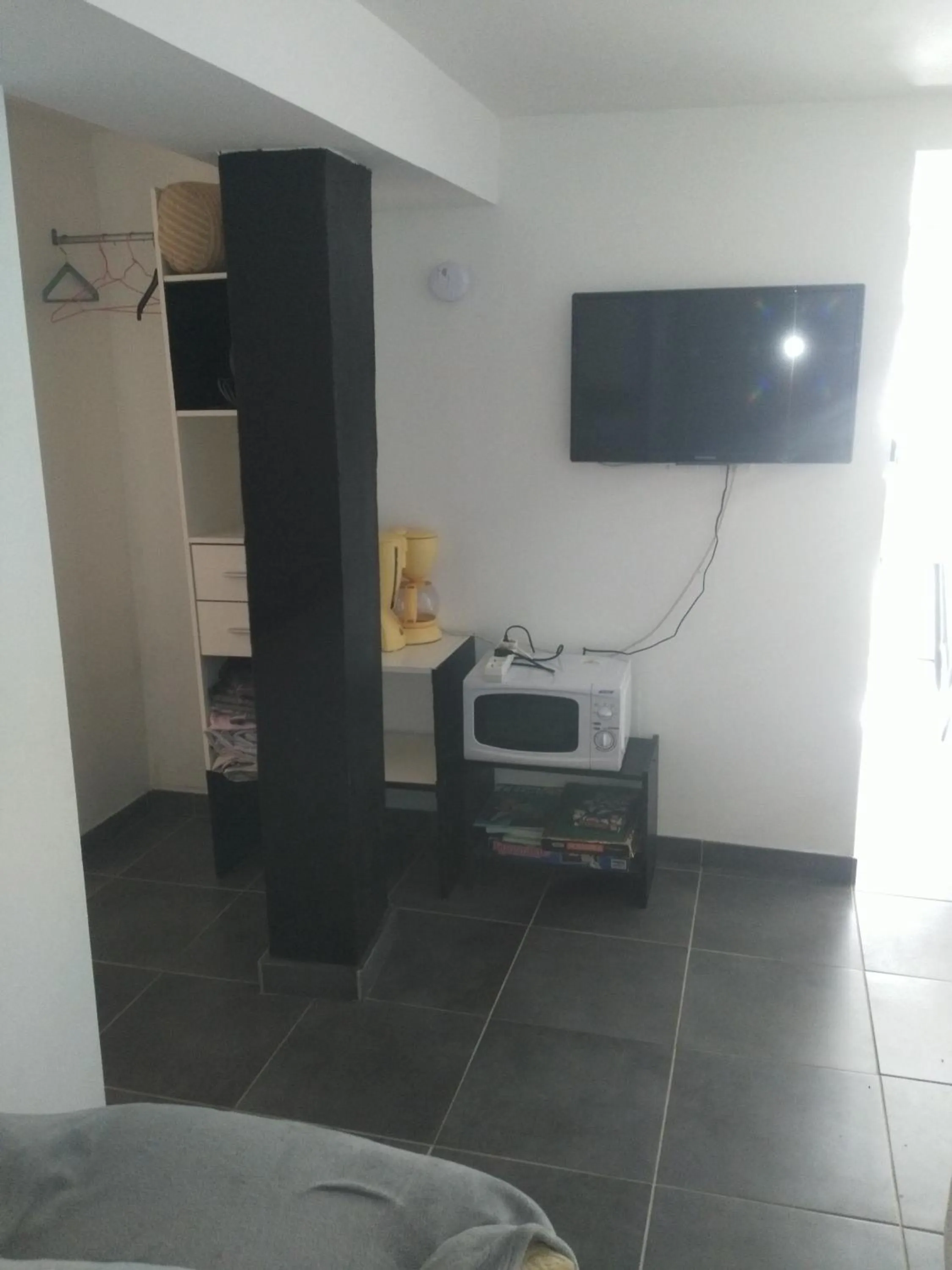 Le camélia de la mazarié