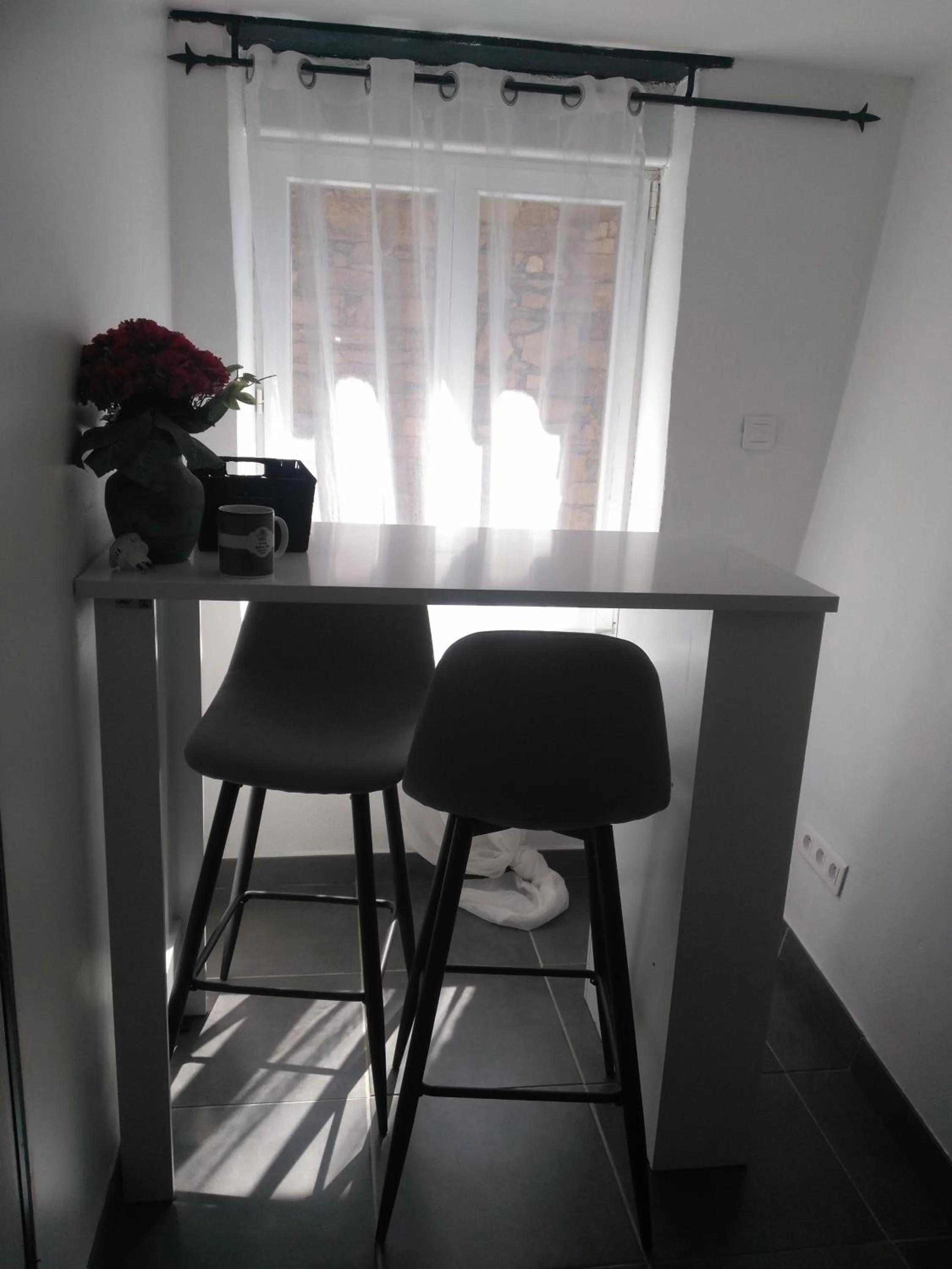 Le camélia de la mazarié