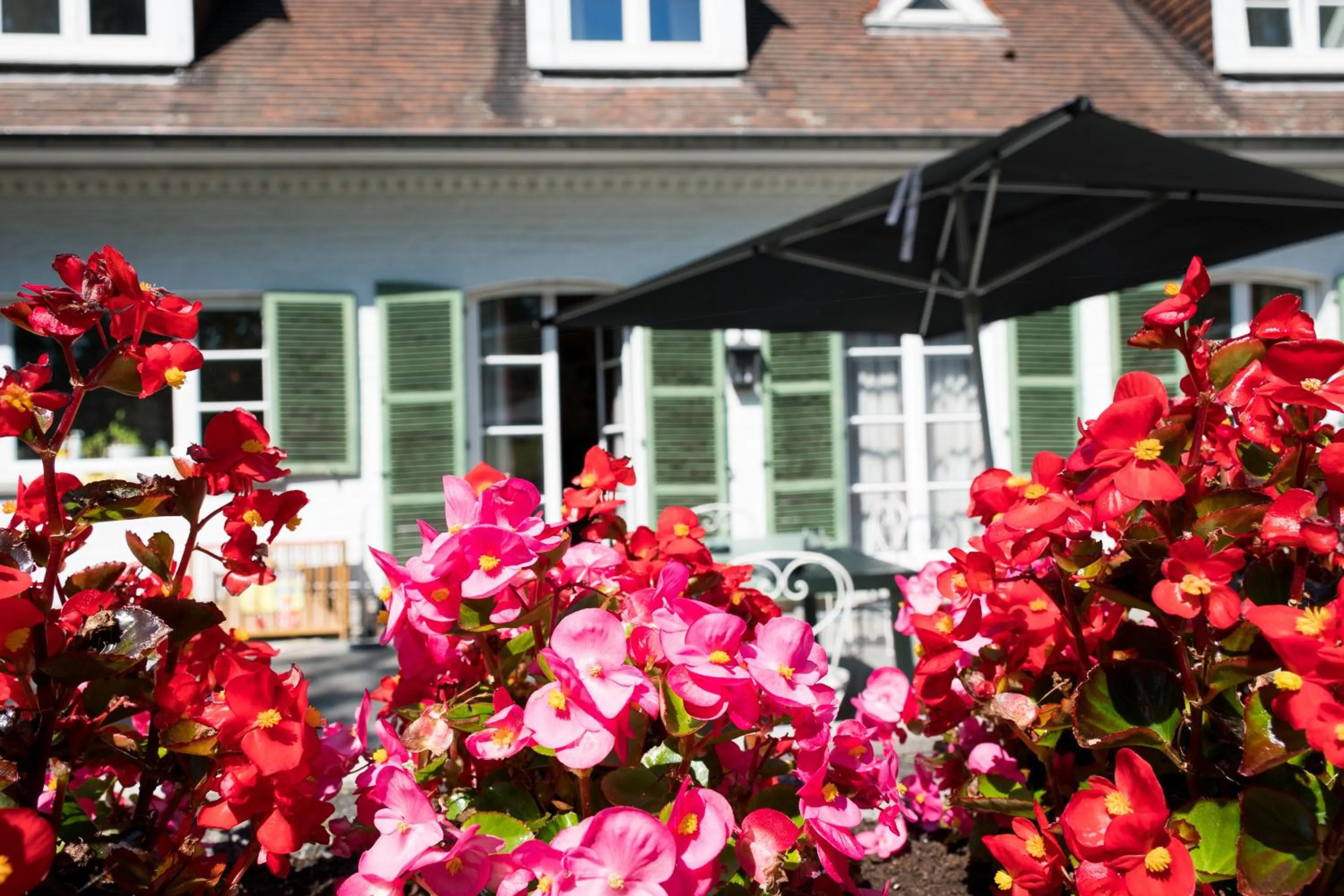 Garden view in B&B El Tyu