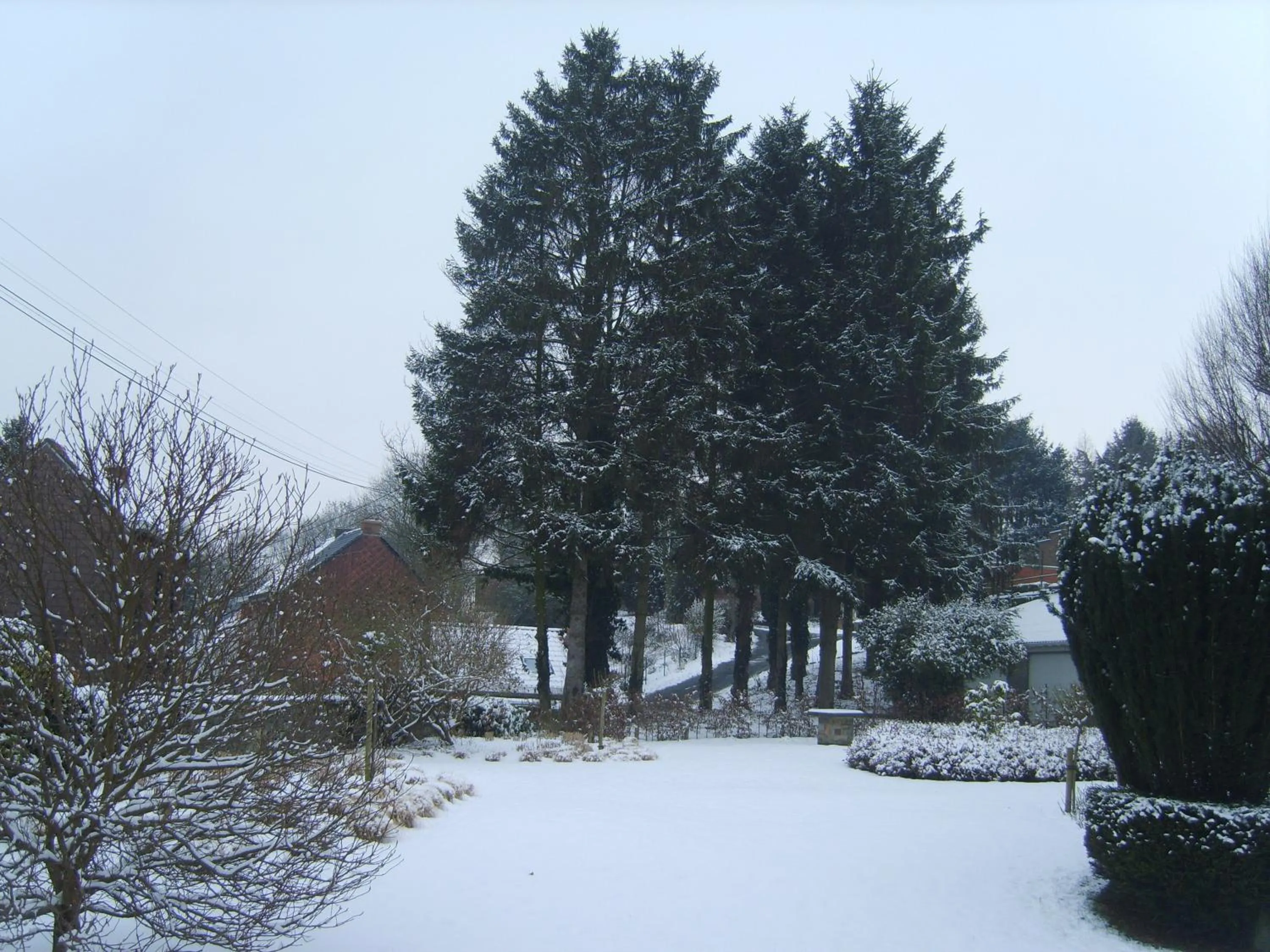 Garden in B&B El Tyu