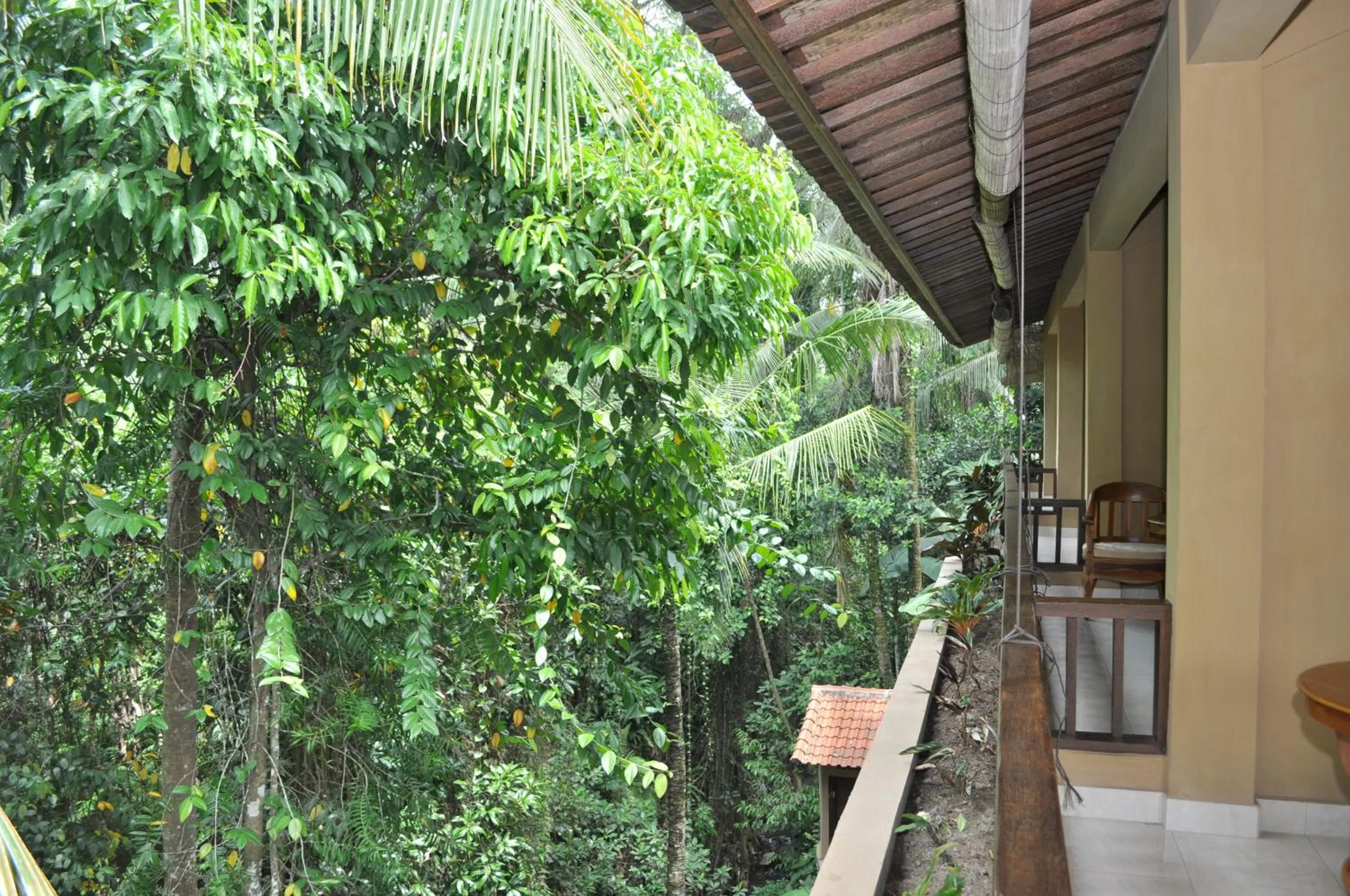 Balcony/Terrace in Jati 3 Bungalows