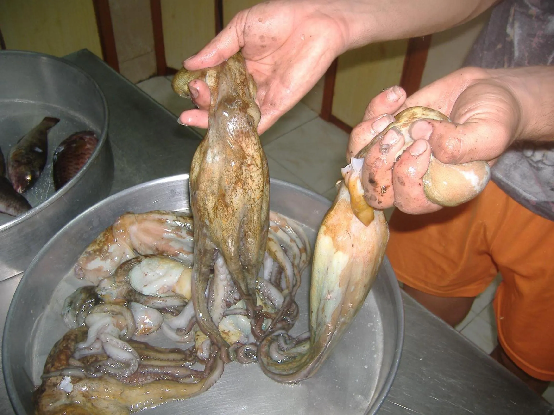 Restaurant/places to eat in Theresa Hotel at Karpaz Peninsula