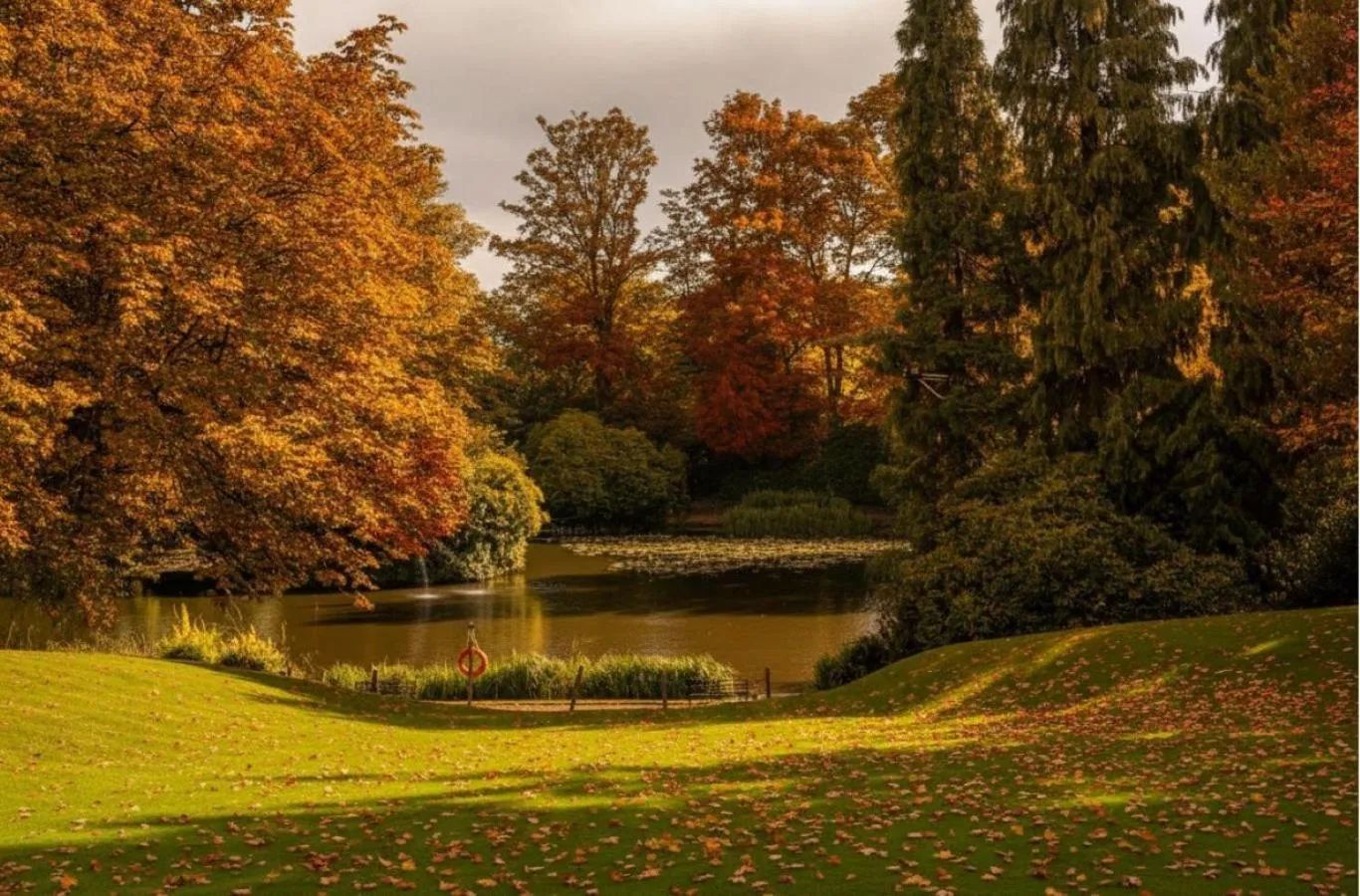 Garden in Mercure Sheffield Kenwood Hall & Spa