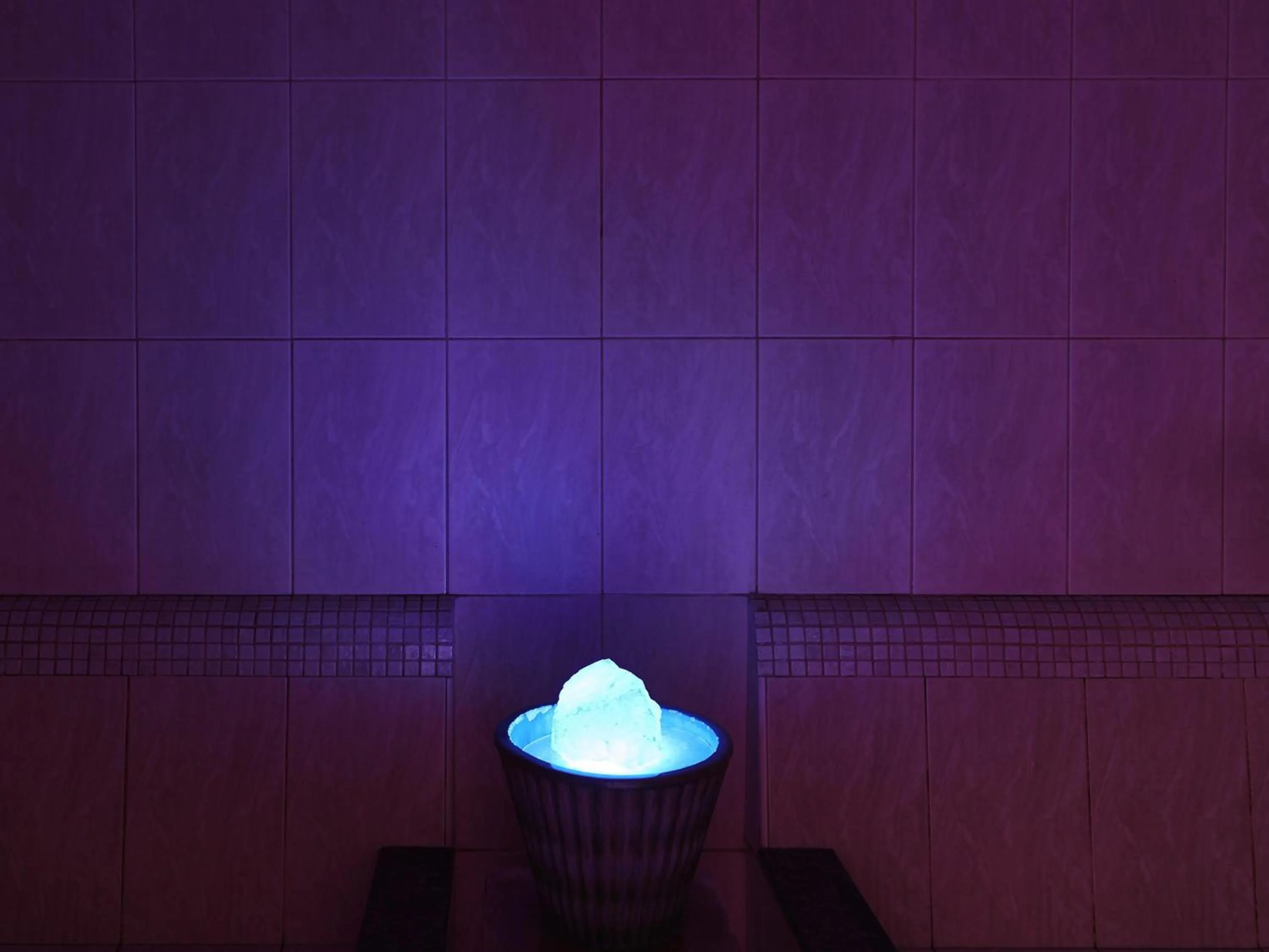 Other in Mercure Sheffield Kenwood Hall & Spa