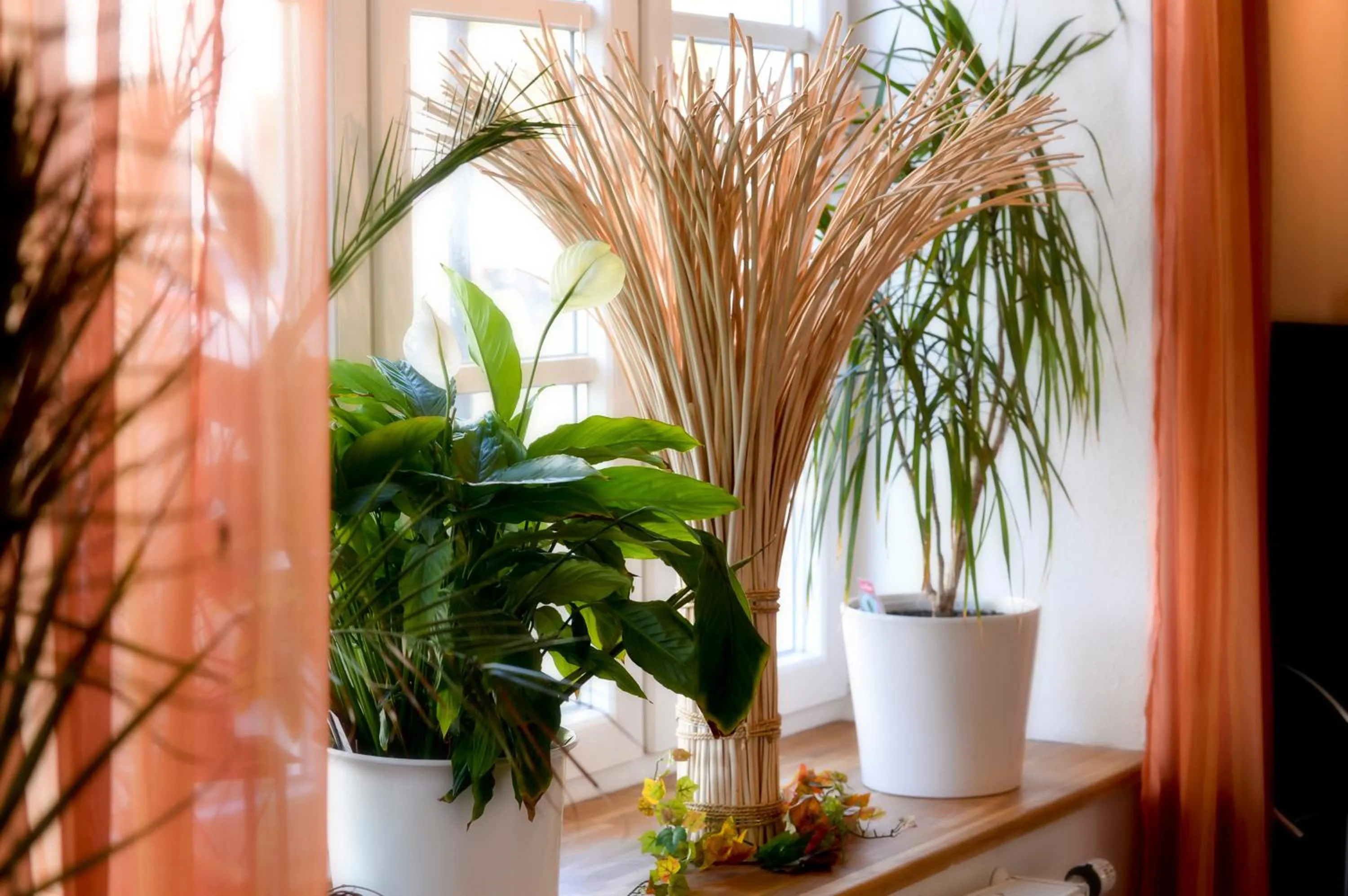 Decorative detail in Vila Belaggio