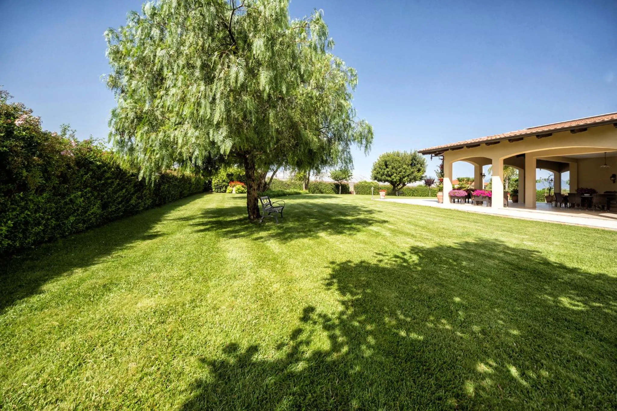 Garden in B&B Samilu'