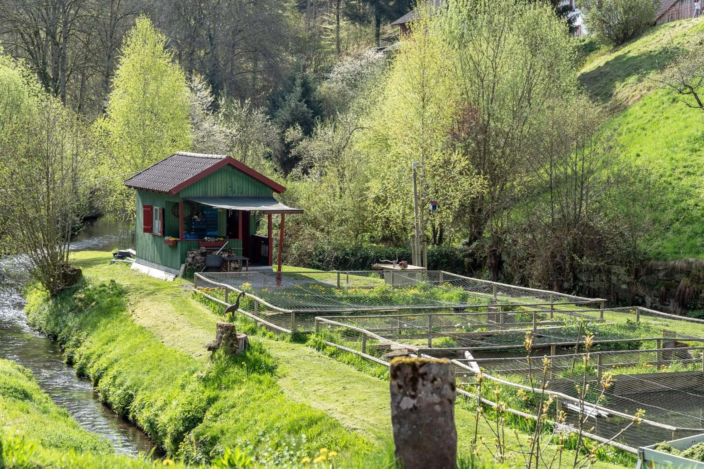 Hiking in Hotel Rössle Berneck