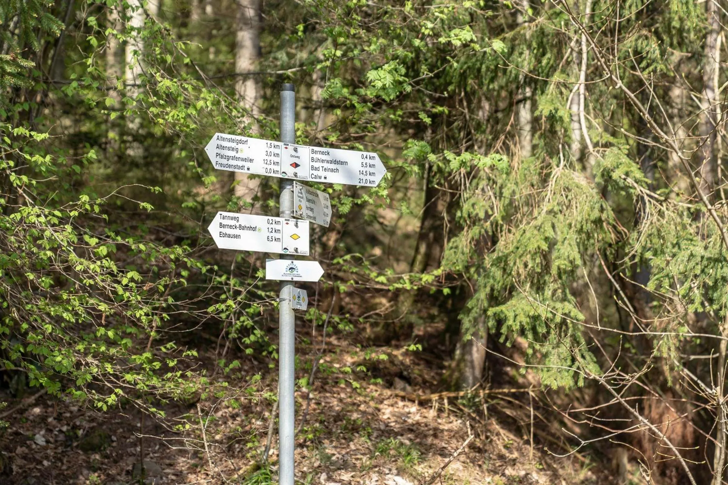 Hiking in Hotel Rössle Berneck