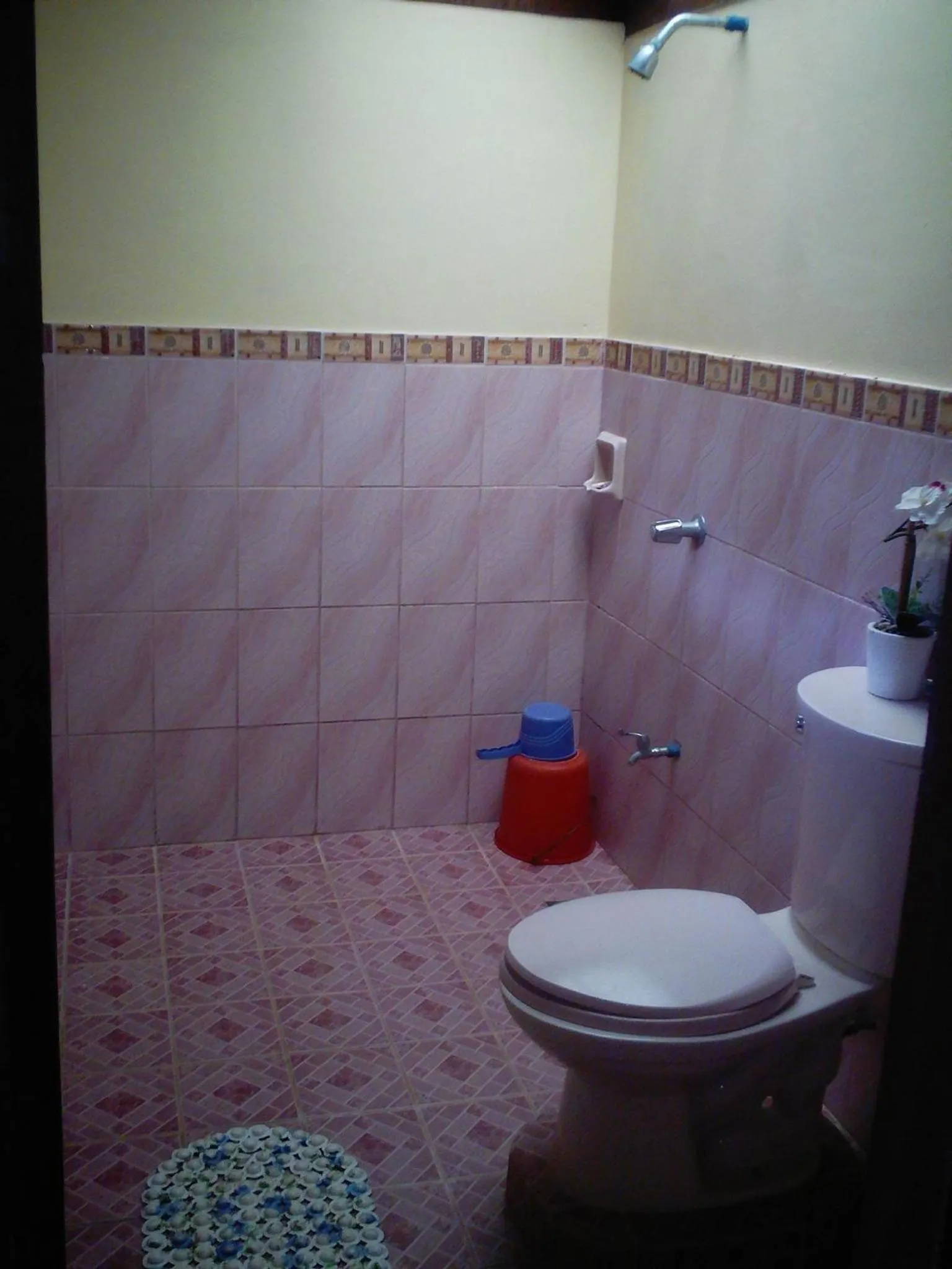 Coconut Garden Island Resort