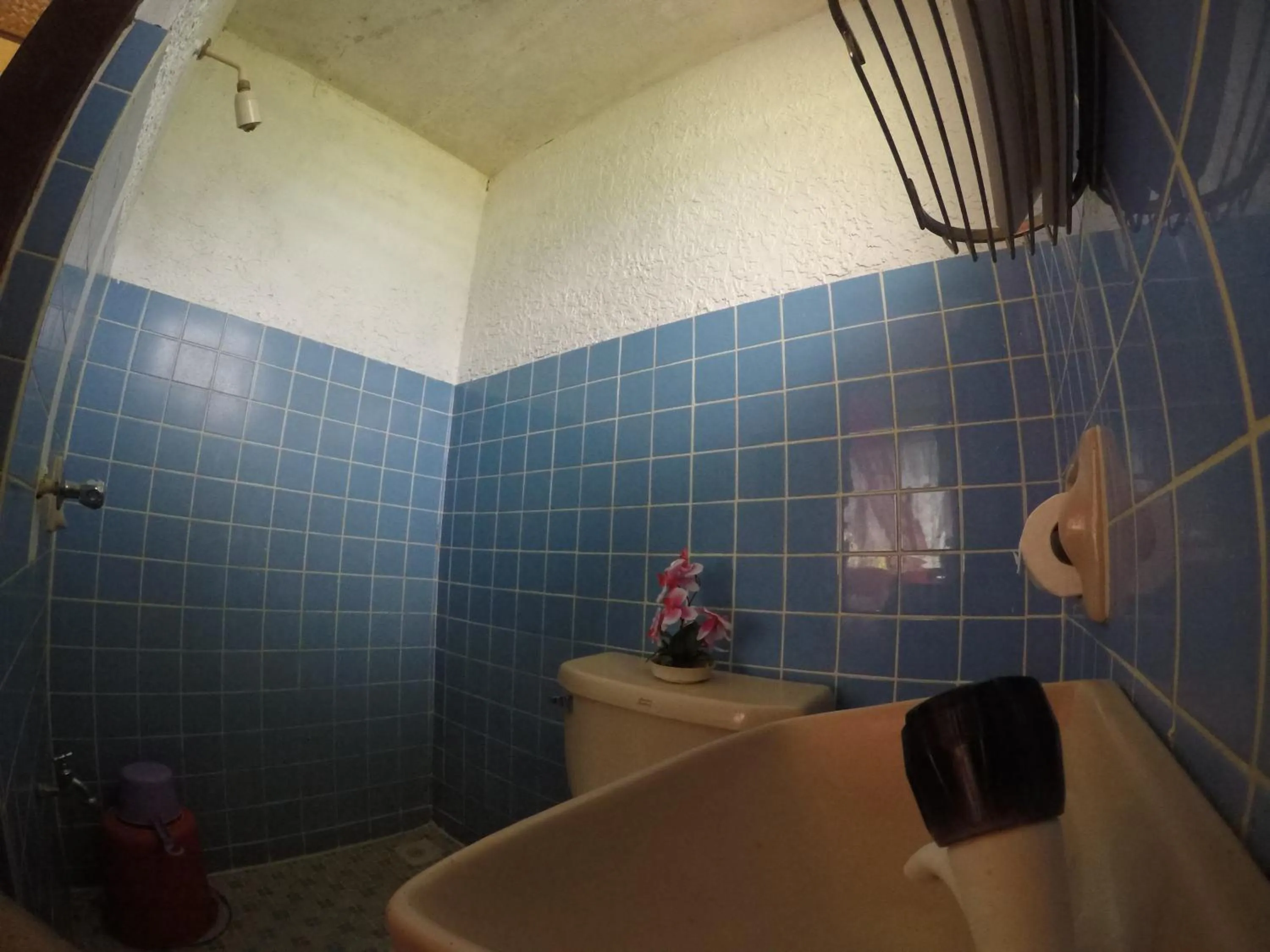 Coconut Garden Island Resort