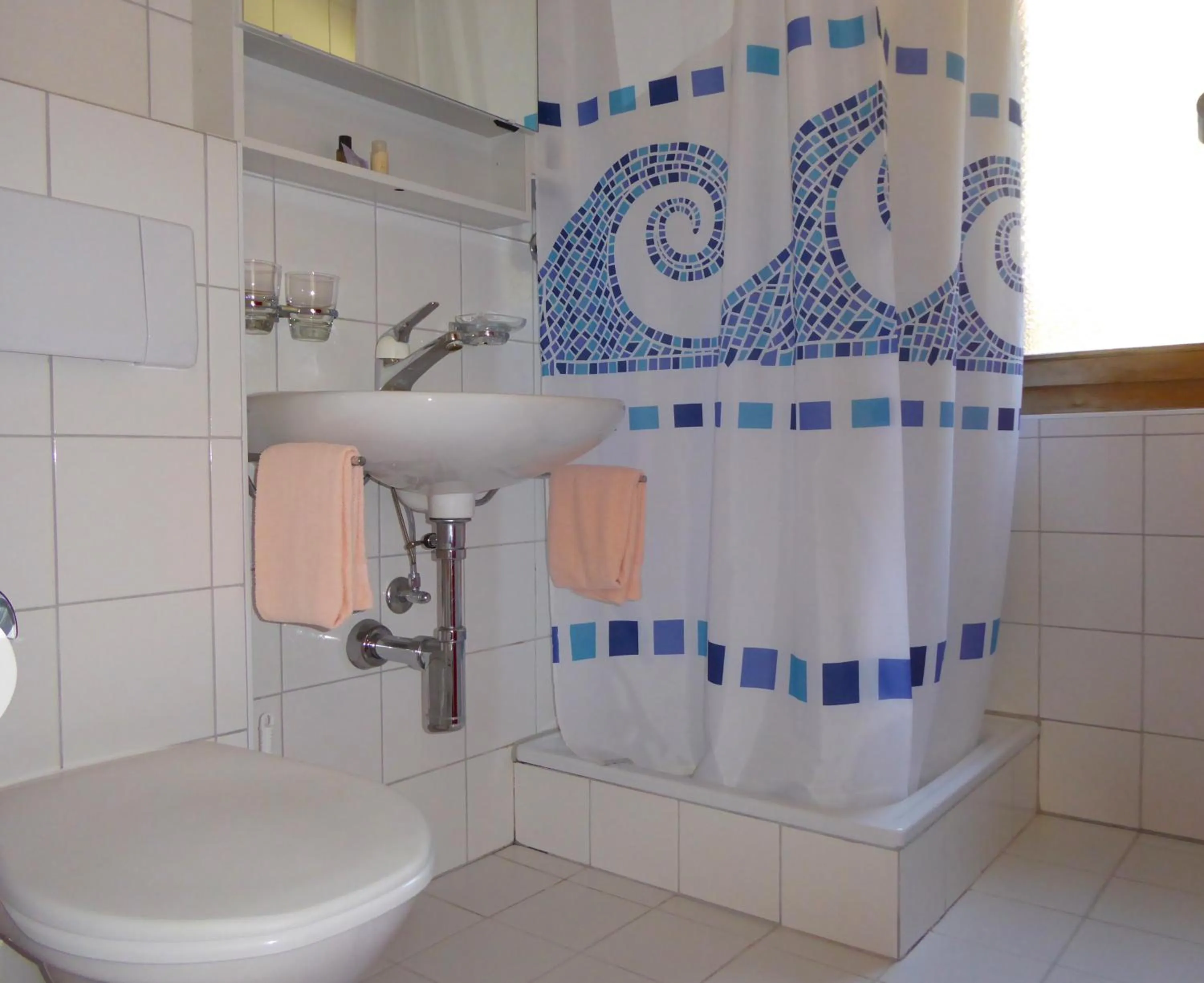 Bathroom in Hotel Roseg-Gletscher