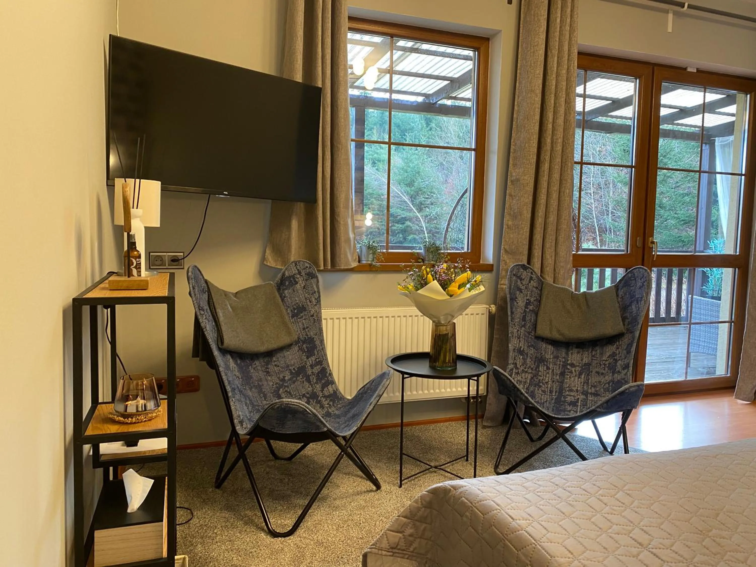 TV and multimedia in Resort Lesní Lázně