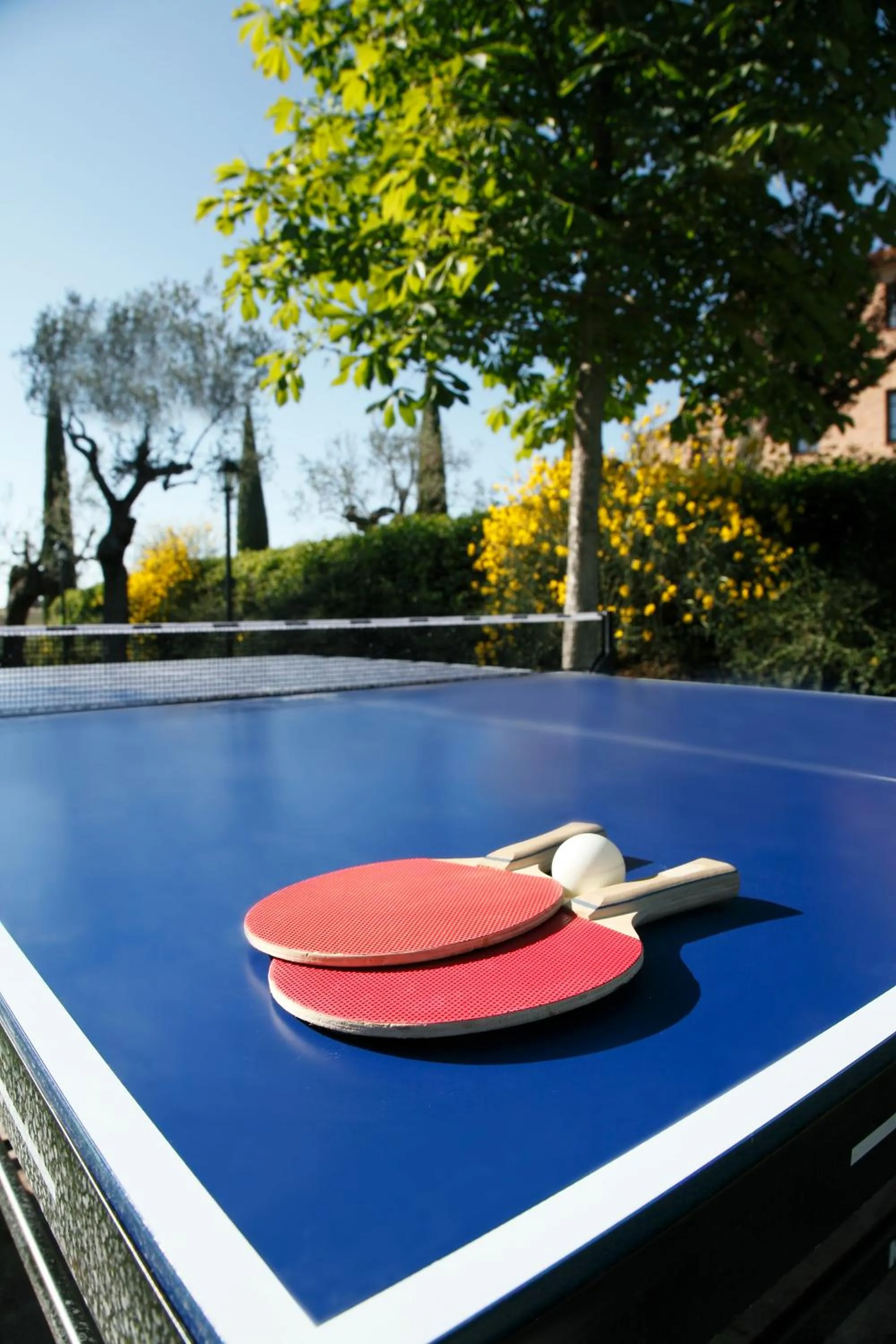 Day in Borgo Tre Rose