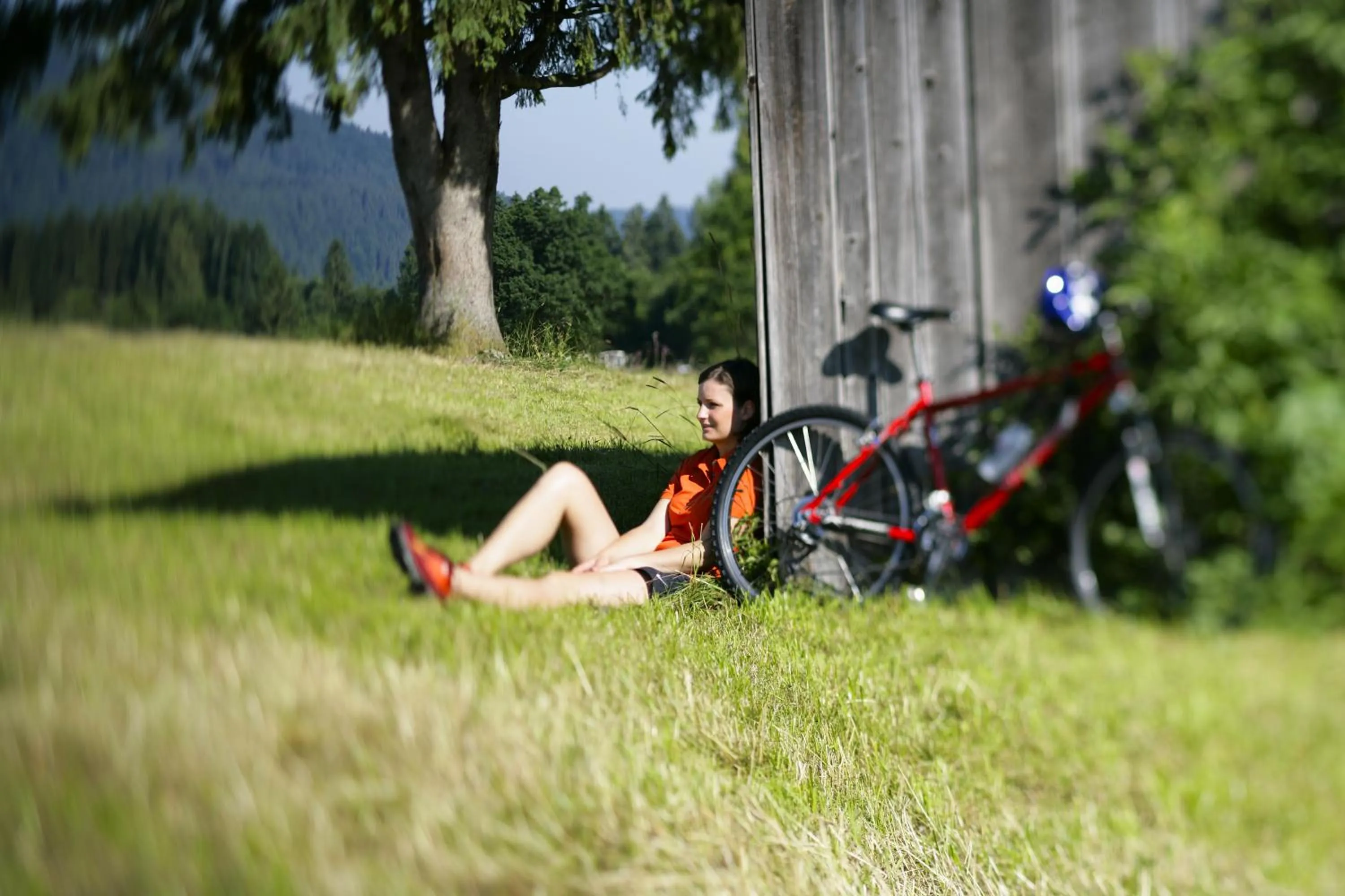 Spring in Mammhofer Suite & Breakfast