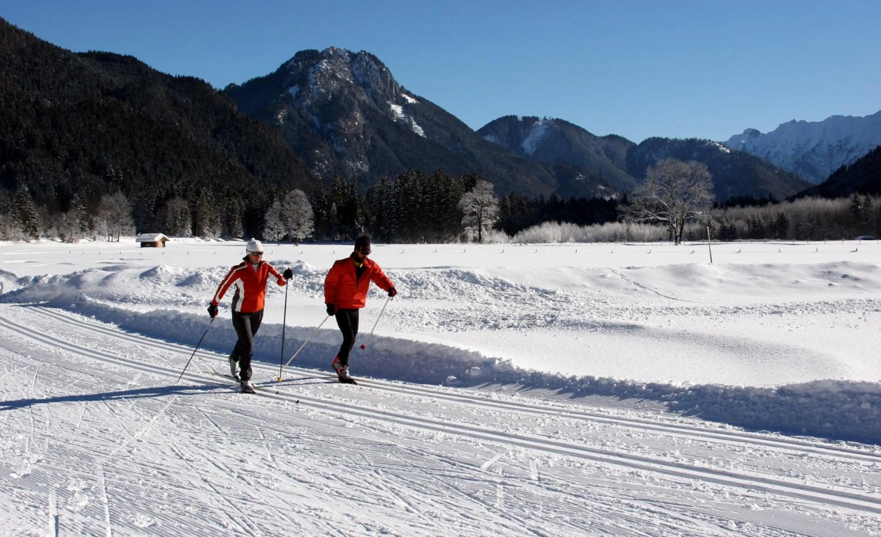 Natural landscape in Mammhofer Suite & Breakfast
