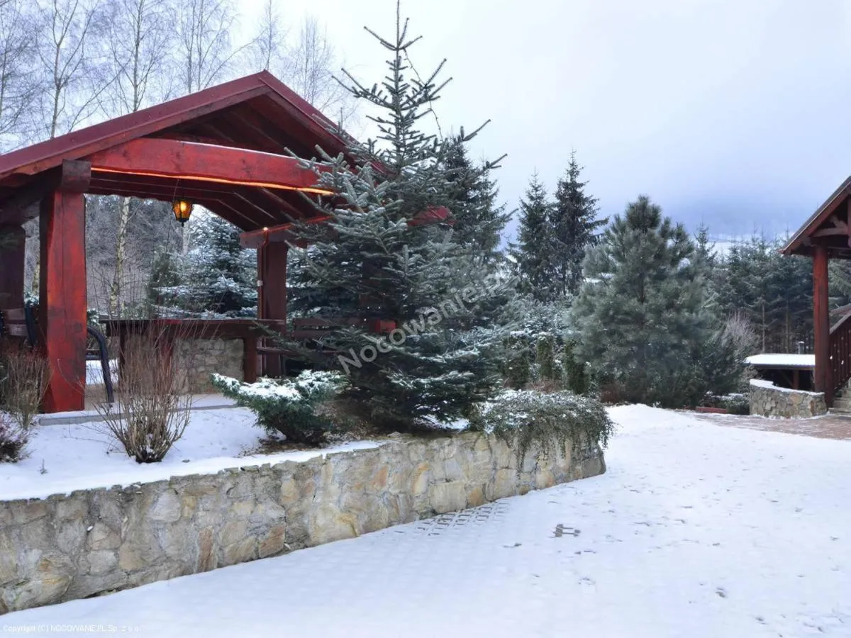 Food and drinks in Koliba