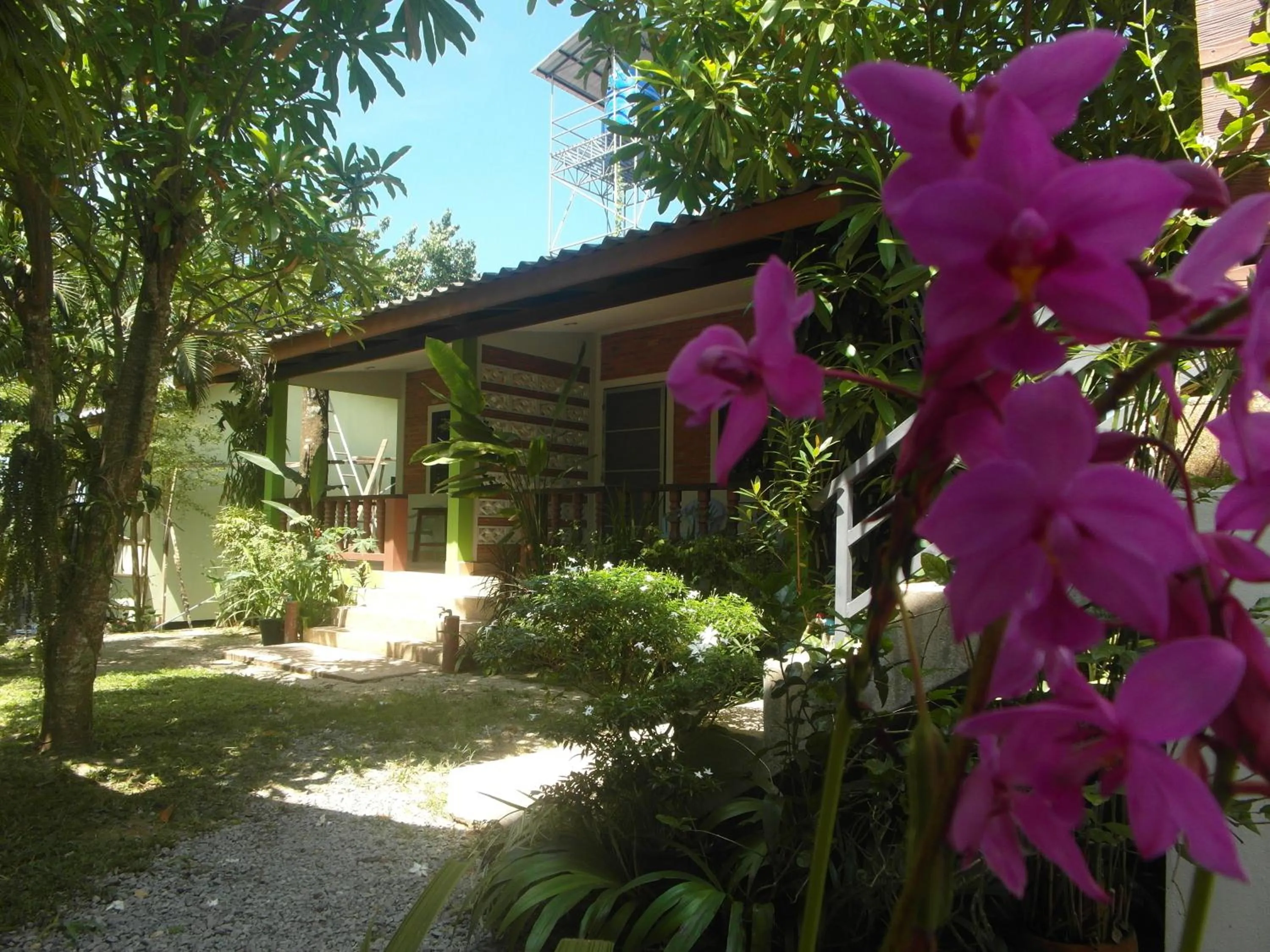 Natural landscape in Wandee Bed & Breakfast