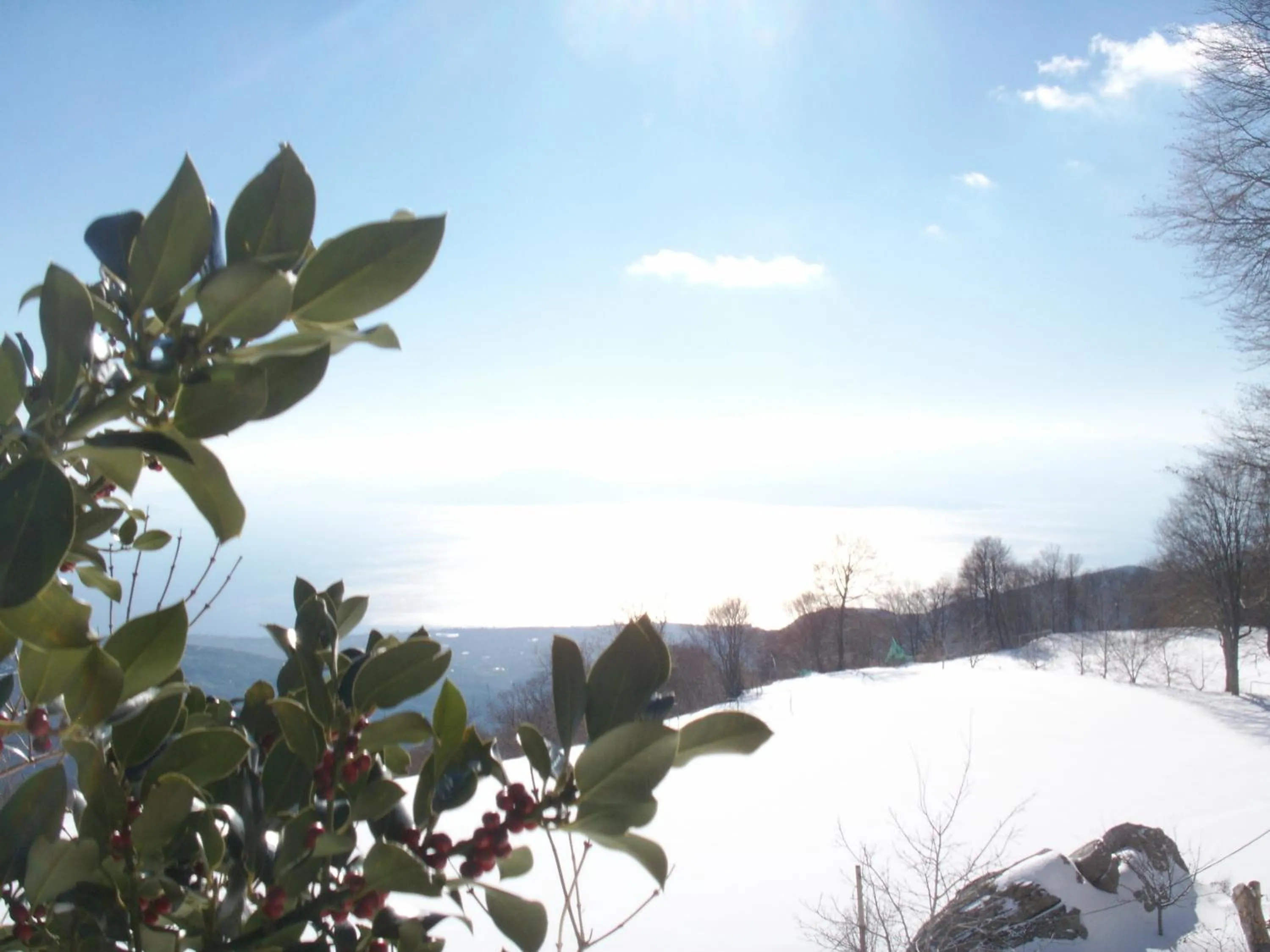 Natural landscape in Manthos Mountain Resort & Spa