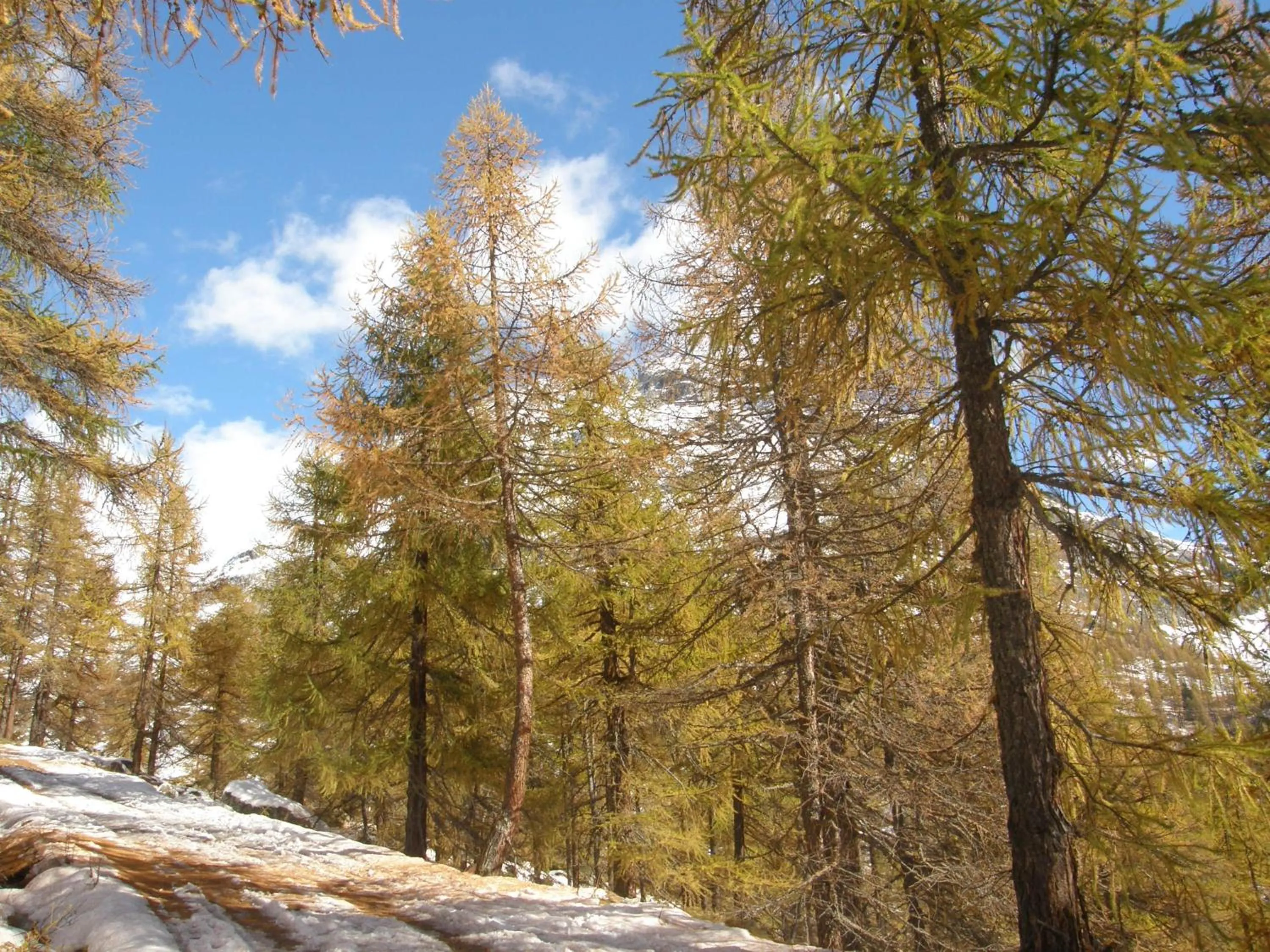 Winter in Hotel Gran Baita