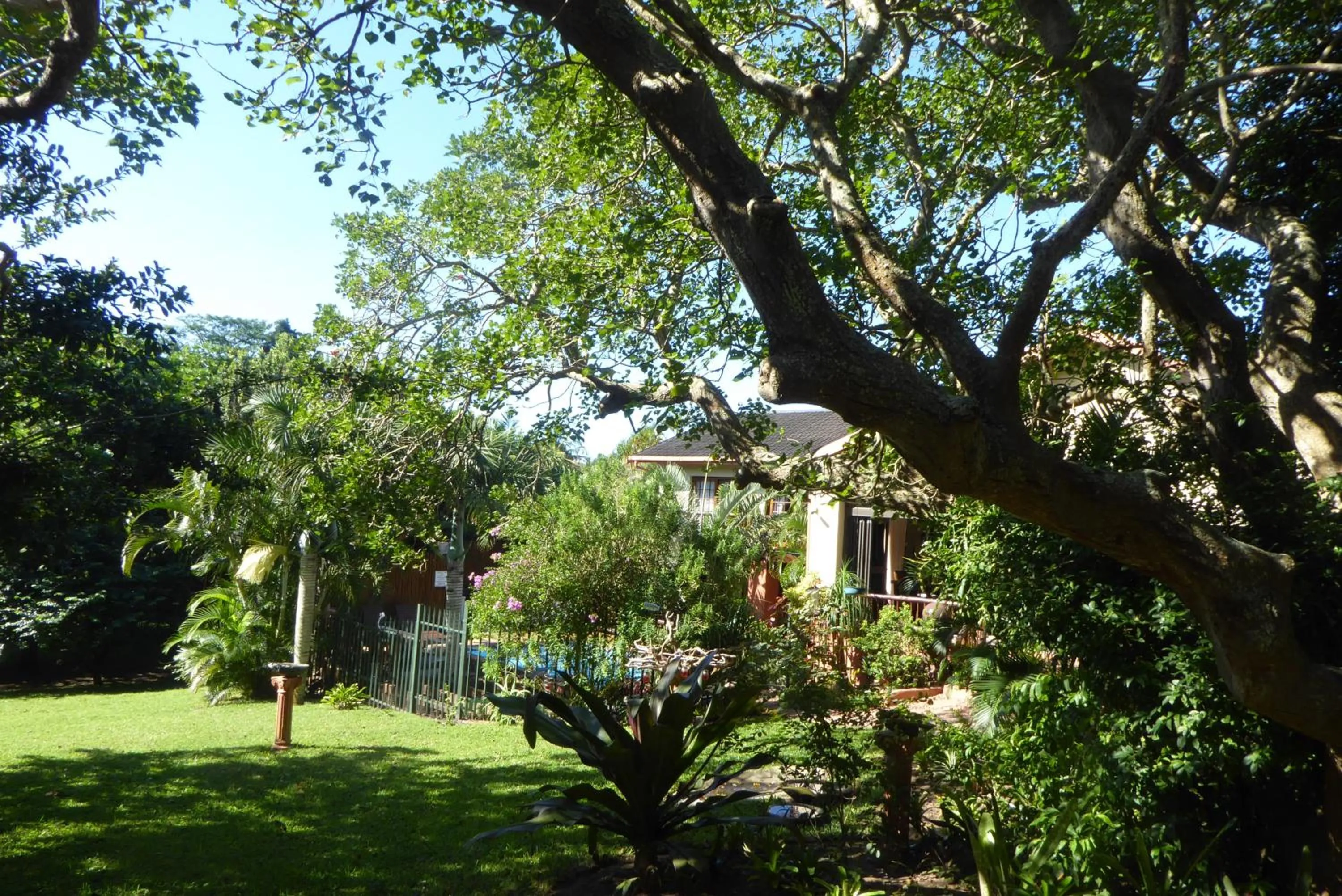 Natural landscape in Elephant Coast Guesthouse