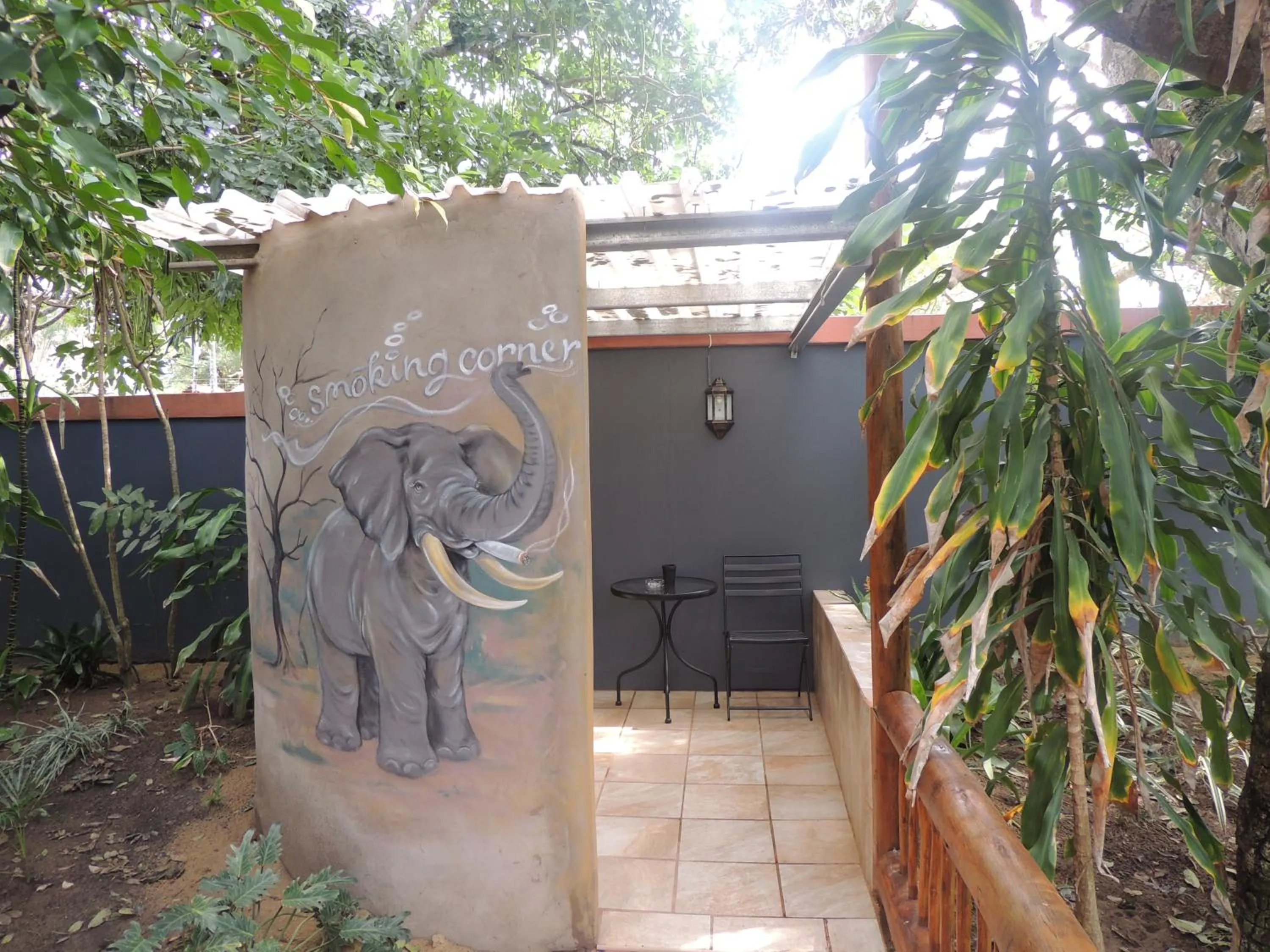 Property building in Elephant Coast Guesthouse