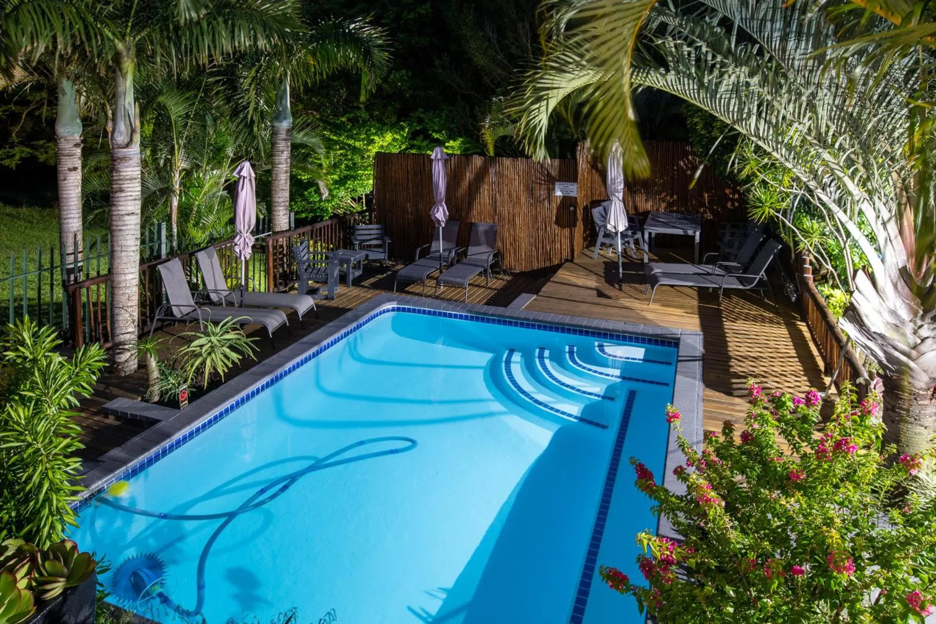 Garden in Elephant Coast Guesthouse