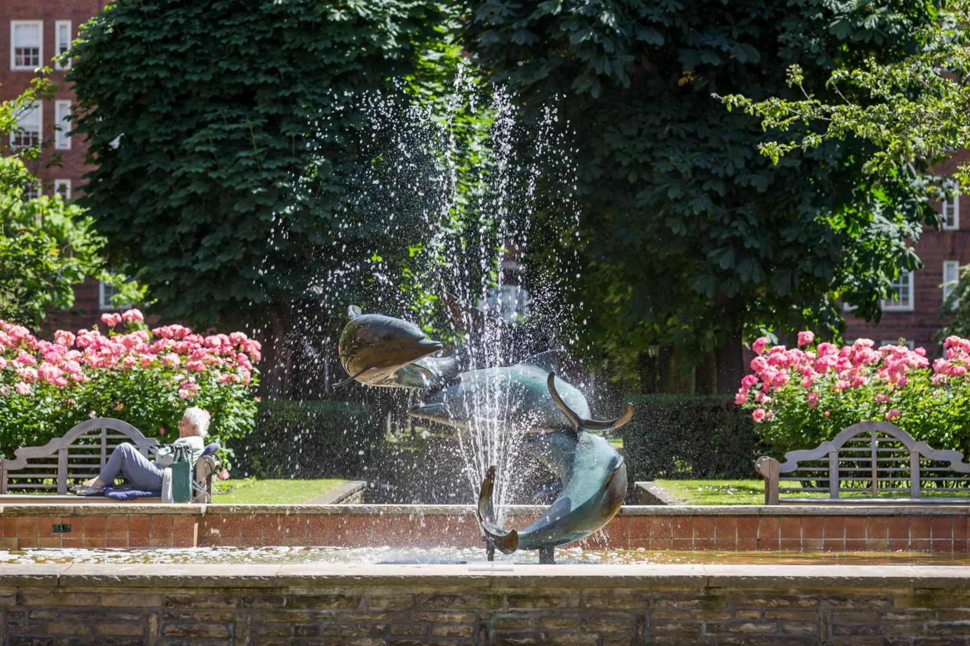 Garden in Dolphin House Serviced Apartments