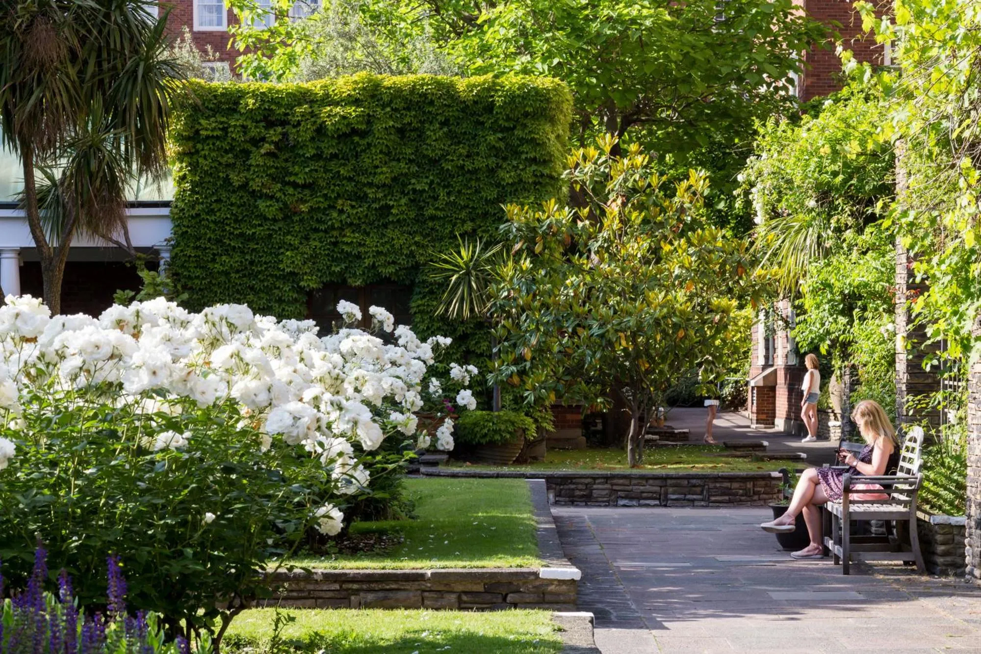 Garden in Dolphin House Serviced Apartments