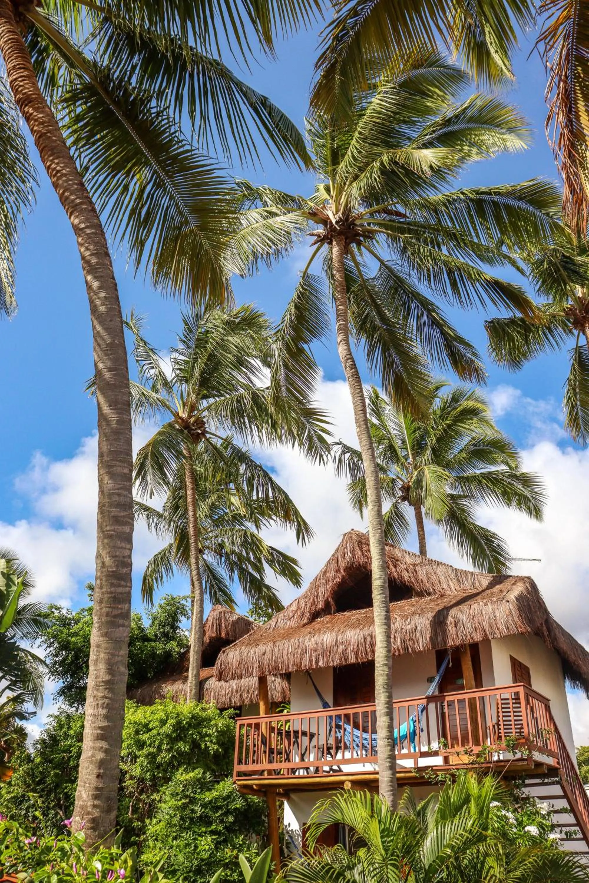 Garden in Pousada Aconchego da Pipa