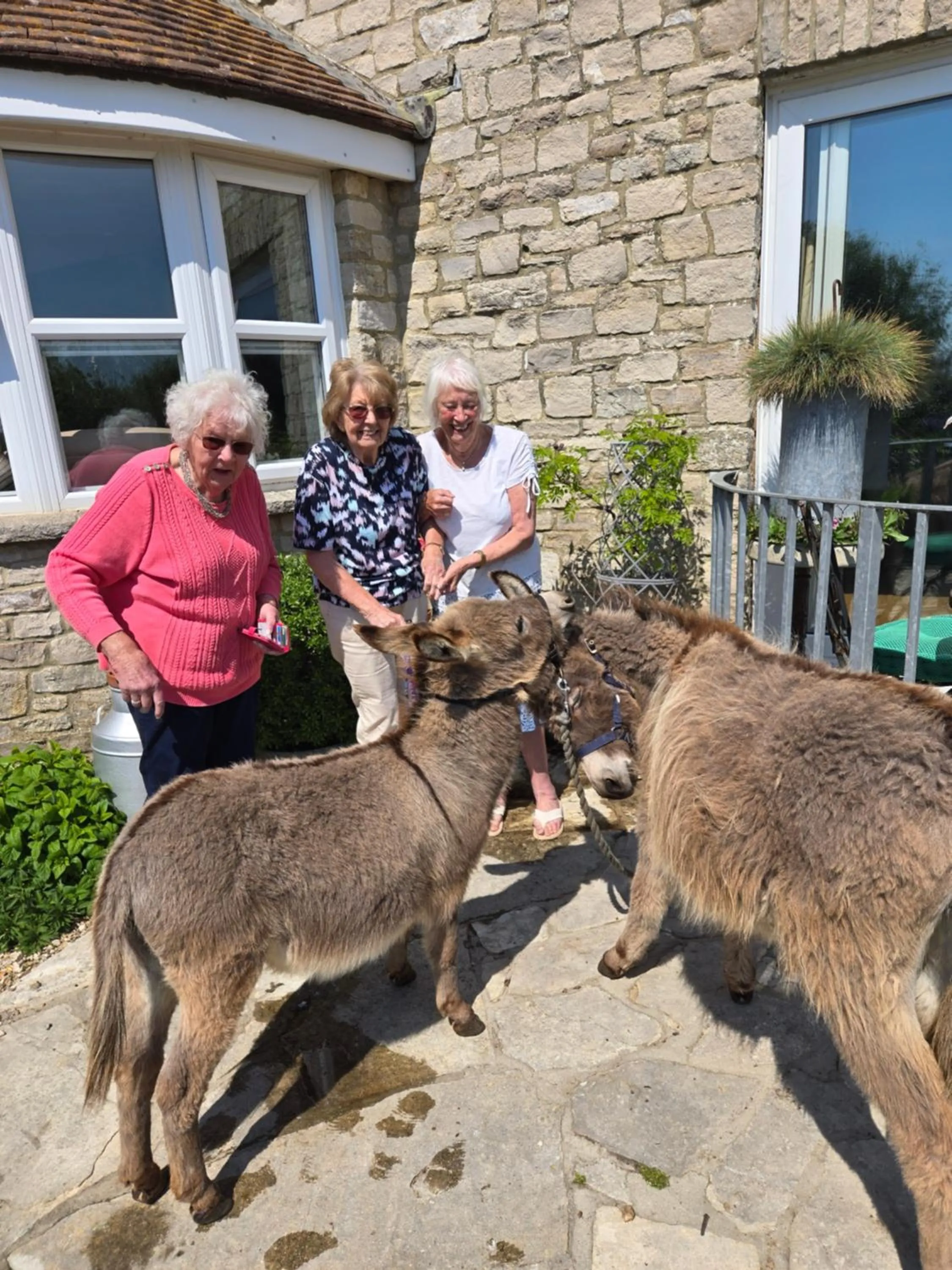 Pets in Swallows Rest