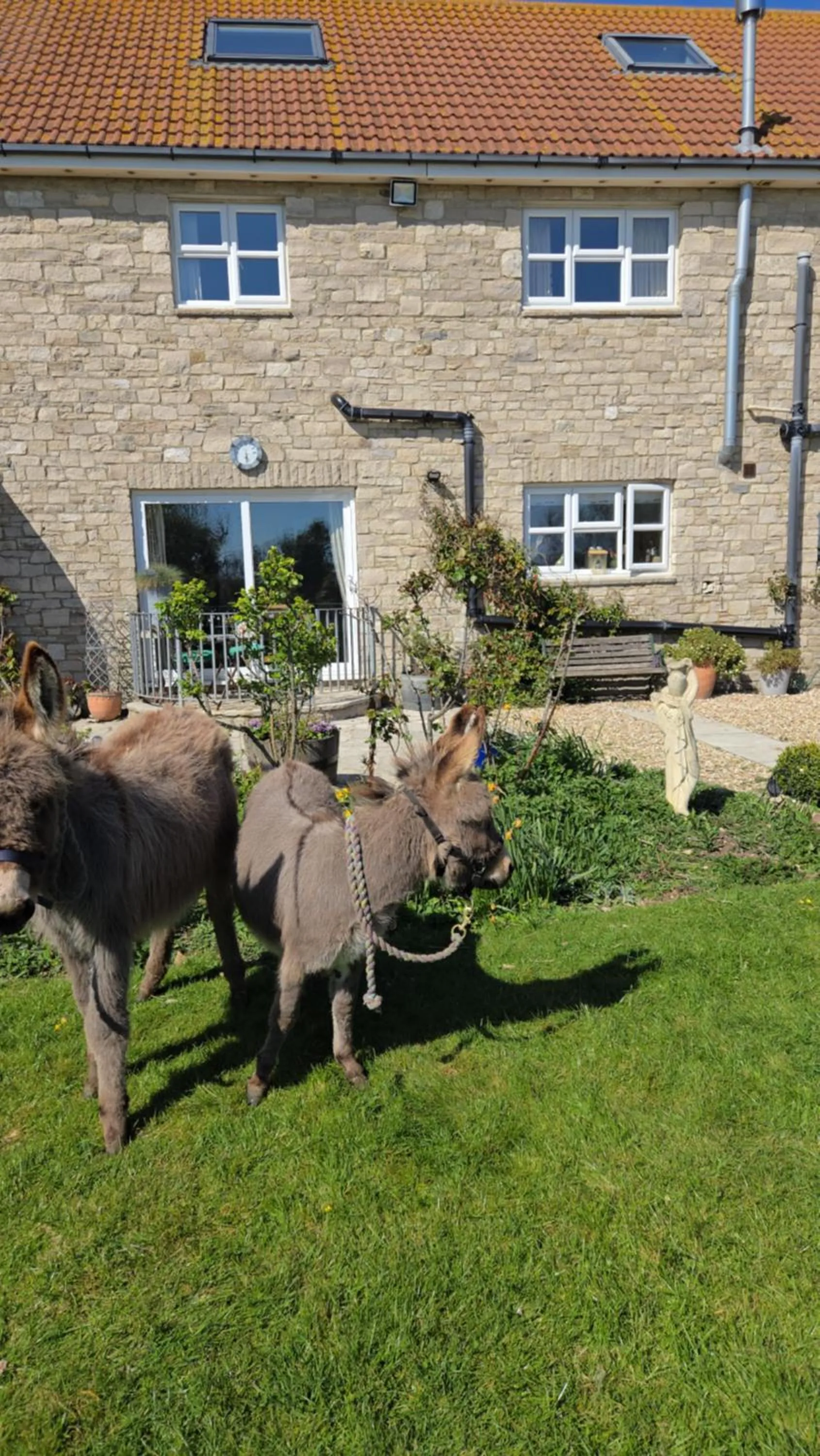Garden in Swallows Rest
