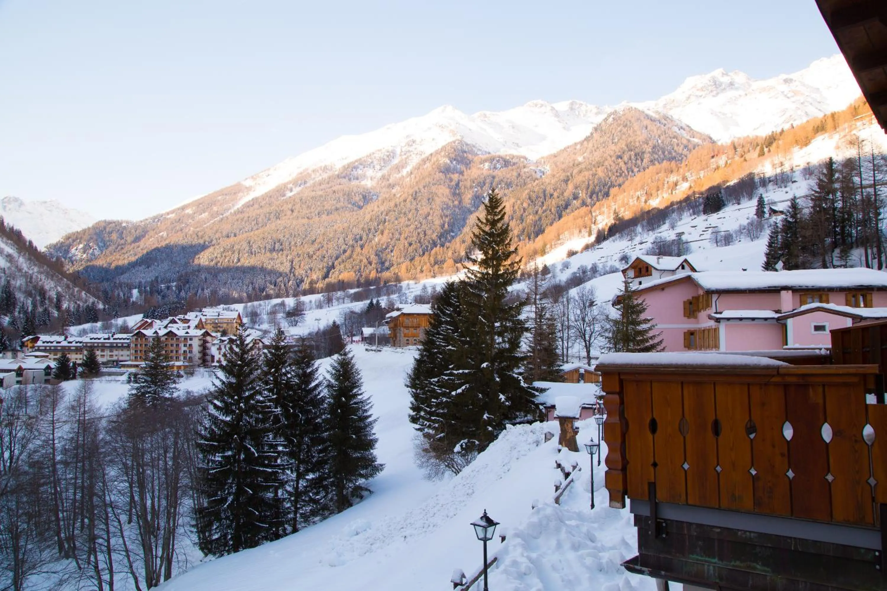 Natural landscape in Hotel Vioz